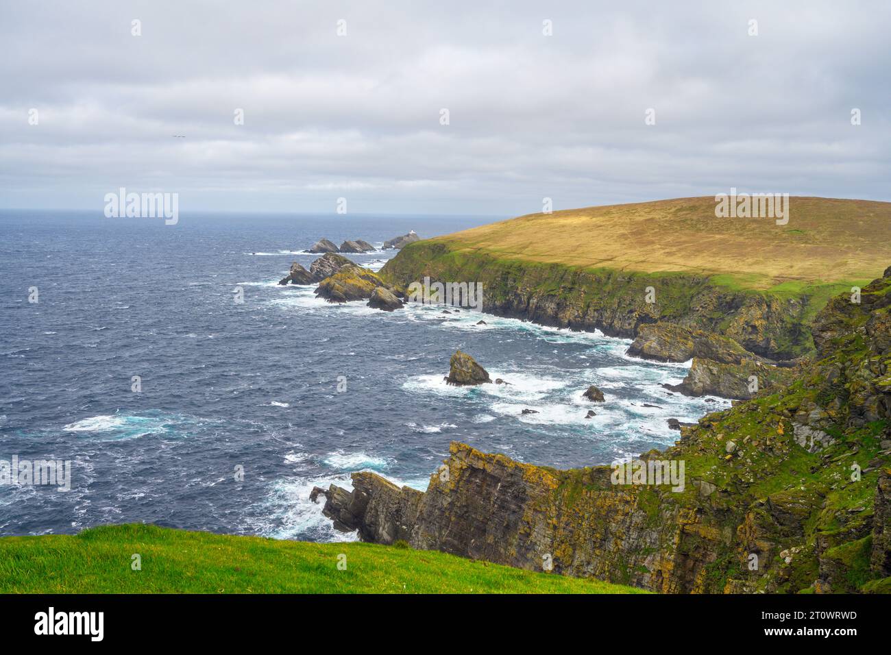 Blick auf die Klippe in Richtung Muckle Flugga Lighthouse, Hermaness National Nature Reserve, Unst, Shetland, Schottland, Großbritannien Stockfoto
