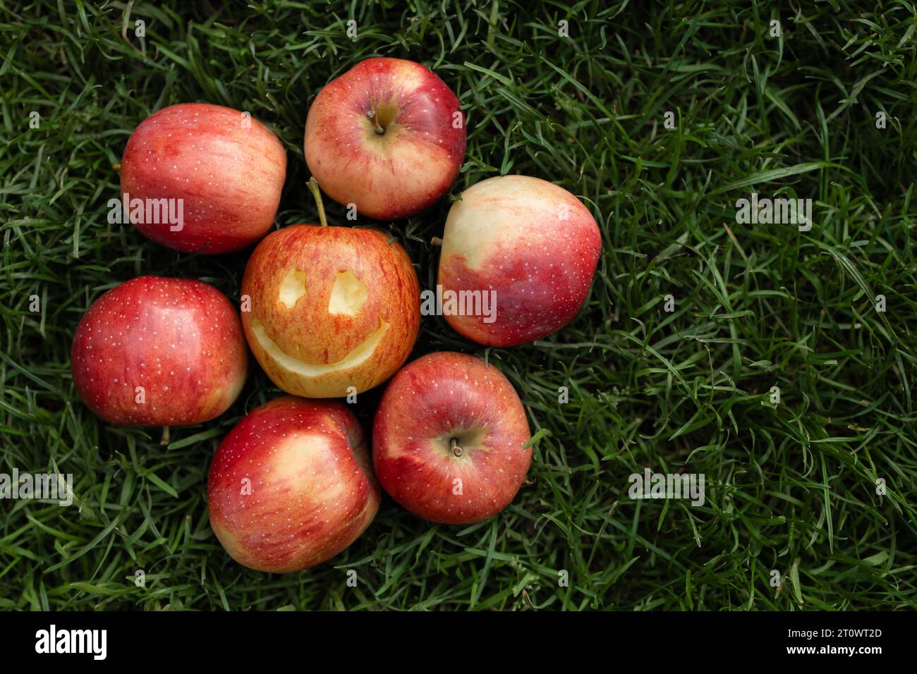 Unter den roten Äpfeln auf dem grünen Gras, ein Apfel mit einem Lächeln, das darauf geschnitzt wurde. Positives Konzept, die Wahl, glücklich zu sein. Gesunder Lebensstil, natürliches Vitamin Stockfoto