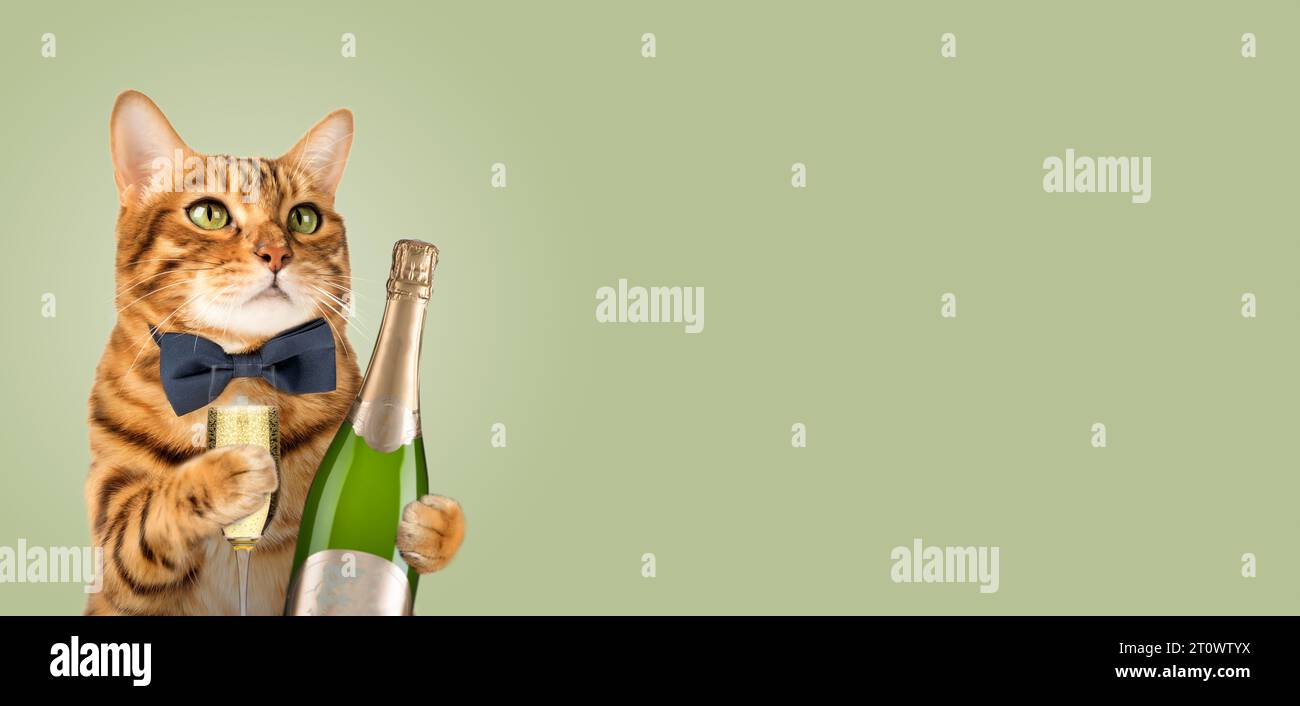 Glückliche Katze in einer Fliege hält ein Glas Champagner auf grünem Hintergrund. Katze mit einer Flasche Champagner zum Geburtstag oder Neujahr. Stockfoto