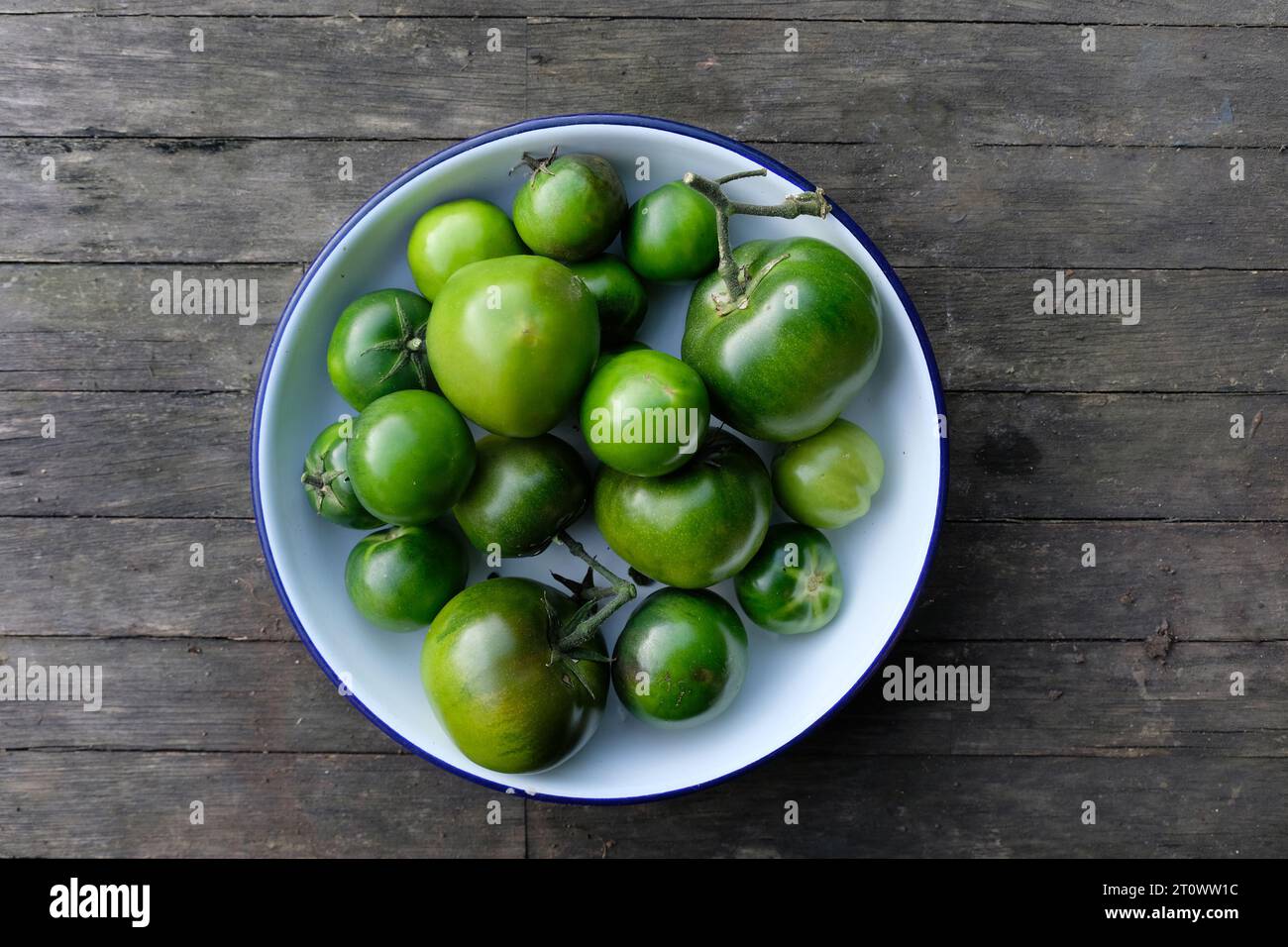 Grüne Tomaten in einer Schüssel. Stockfoto