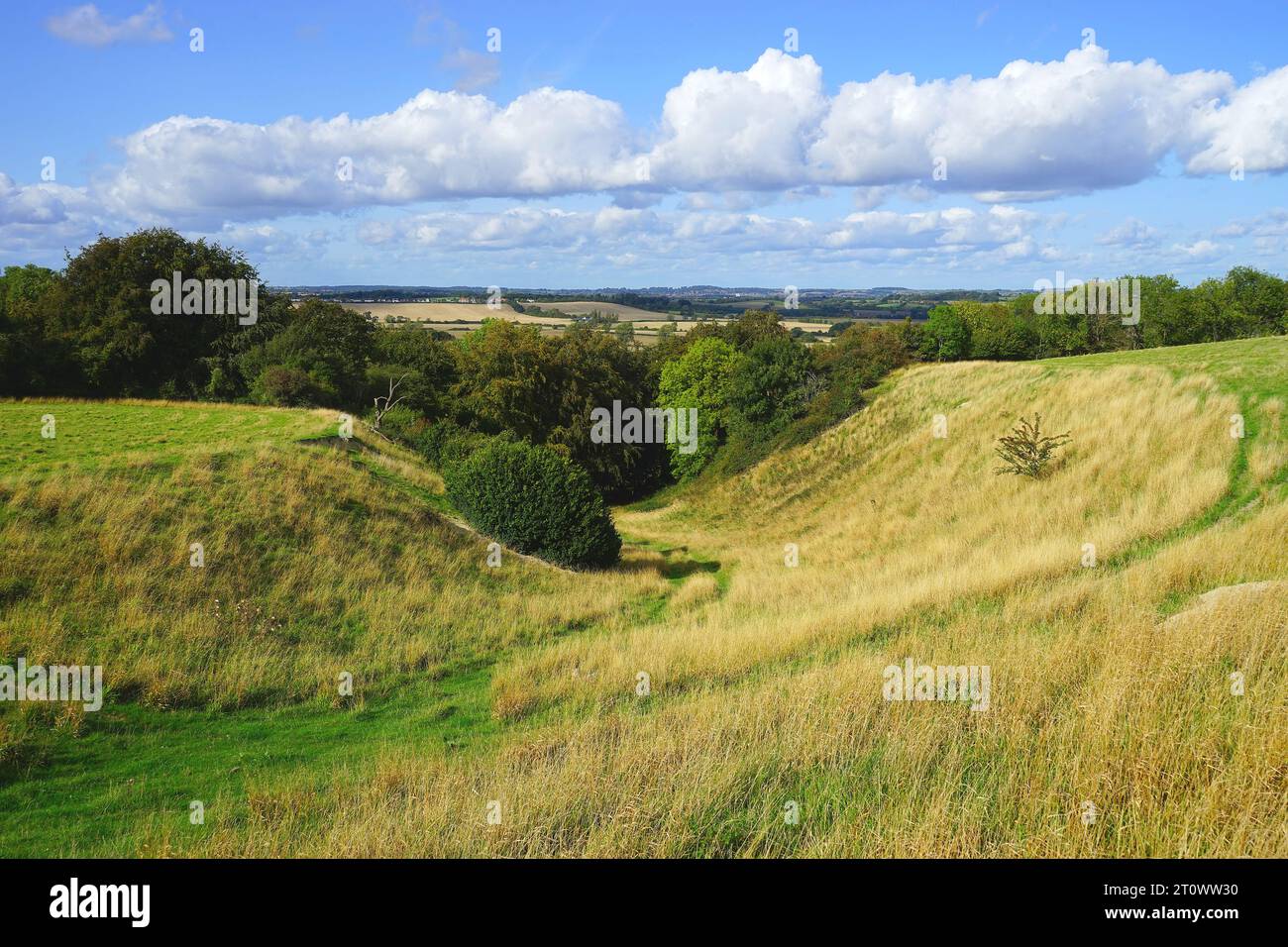 Coombe in Sundon Hills Stockfoto