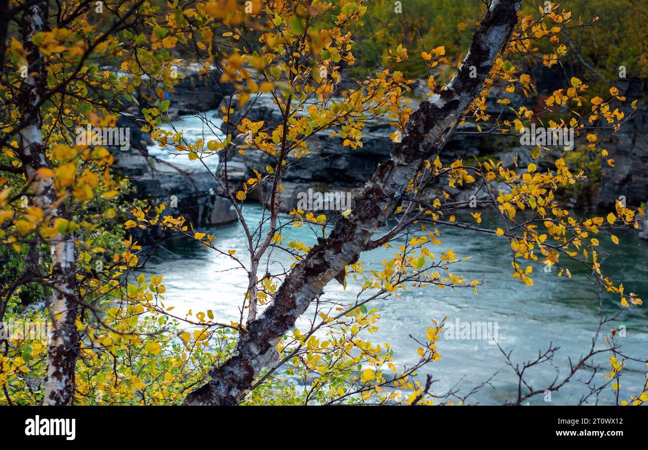 14. September 2023: Die Herbstsaison ist in Nordschweden relativ kurz; die Farben und die Geologie der Region sind jedoch entlang des Flusses Karsajakka und des Kungsleden Trail, auch bekannt als King's Trail, atemberaubend. Abisko-Nationalpark, Abisko, Schweden. Der Kungsleden ist einer der schönsten Fernwanderwege der Welt. Der Weg ist über 430 km lang und führt von Abisko im Norden bis zum südlichen Endpunkt in Hemavan. Unterstützt von 16 Berghütten, ist der Trail bei Wanderern in den Sommermonaten und bei Skitouren im Winter beliebt. Stockfoto