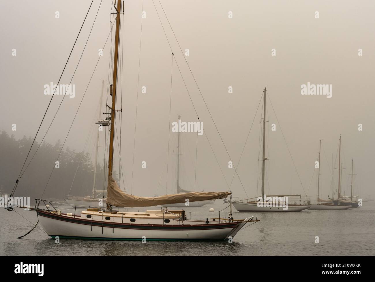 Yachten und Jollen vor Anker und Anker im schönen Center Harbor im Down East Maine. Stockfoto