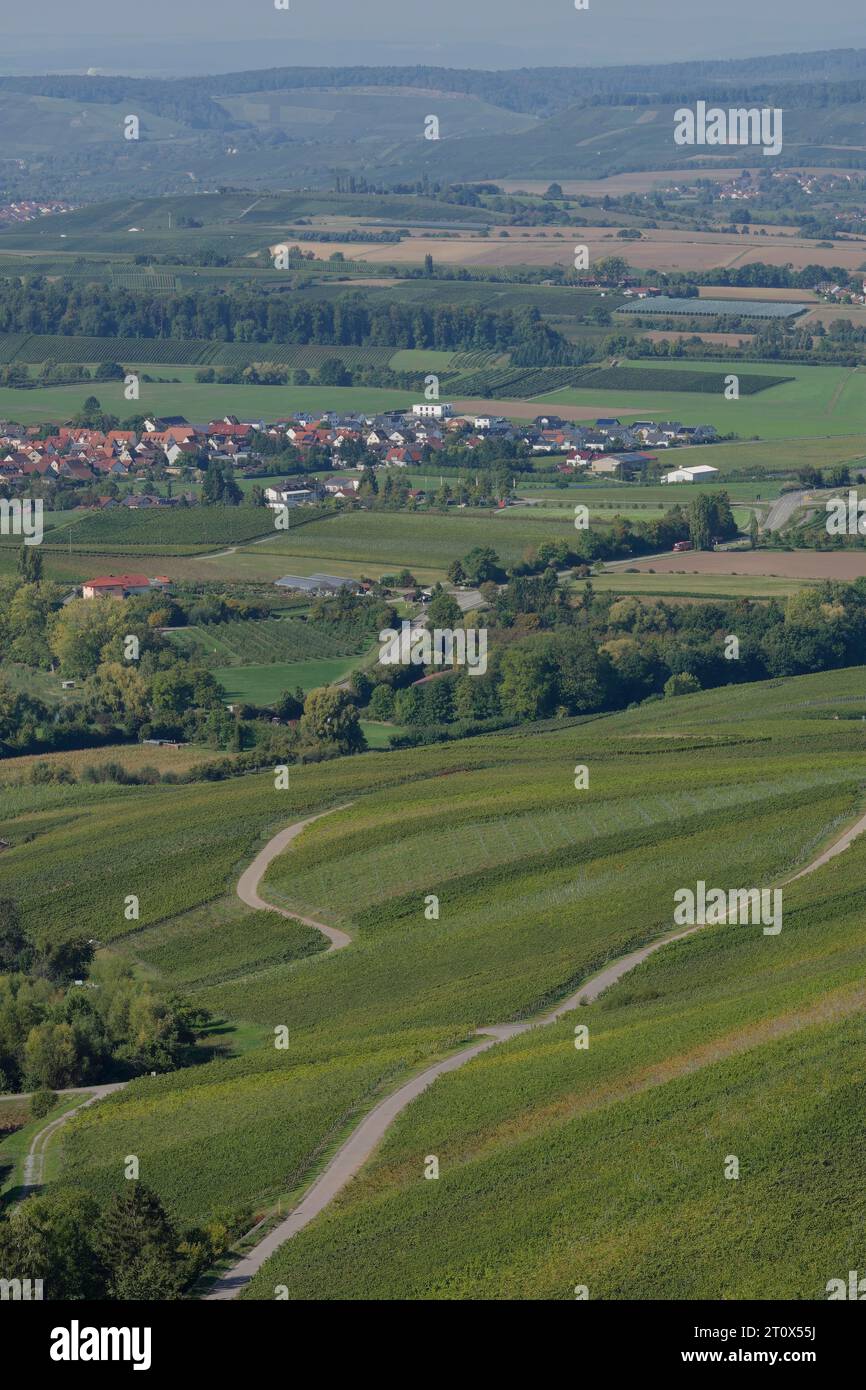 Blick auf die Weinberglandschaft bei Löwenstein, Löwensteiner Berge, Weinberge, Heilbronn-Franken, Heilbronner Land, Baden-Württemberg, Deutschland Stockfoto