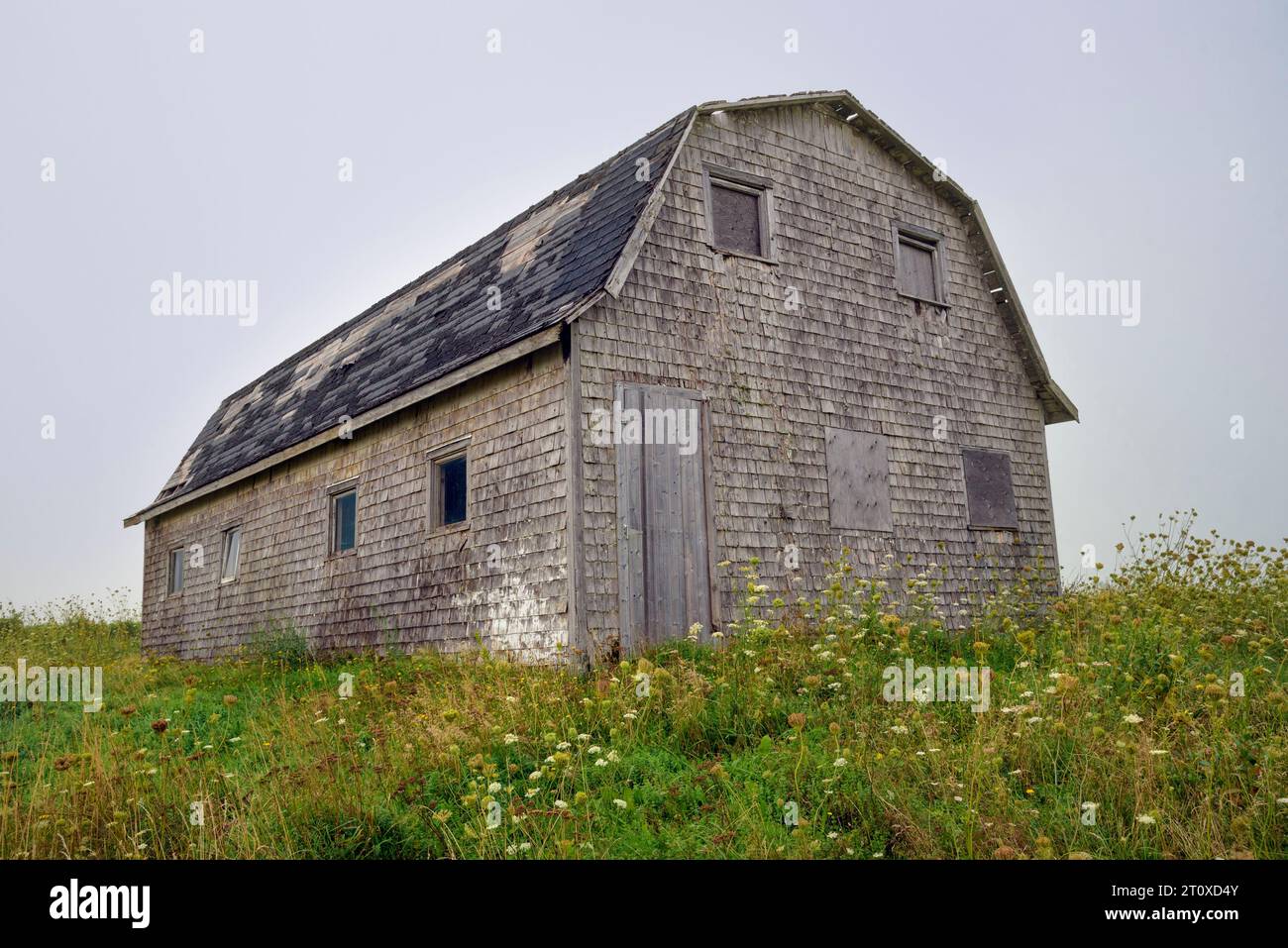 Alte verwitterte Scheune in Prince Edward Island, Kanada Stockfoto