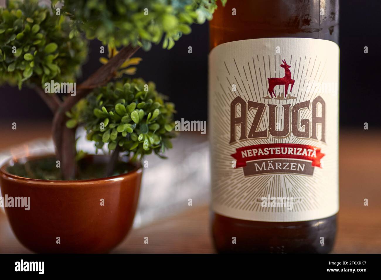 Bierflasche auf dem Tisch, Azuga unpasteurisiert Stockfoto