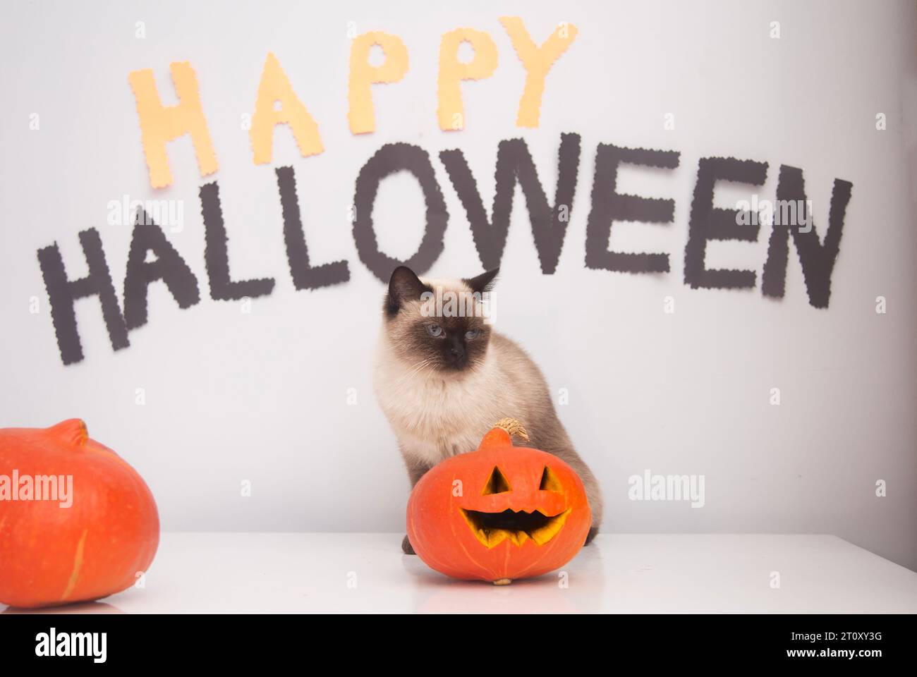 Fröhliches Halloween Stockfoto