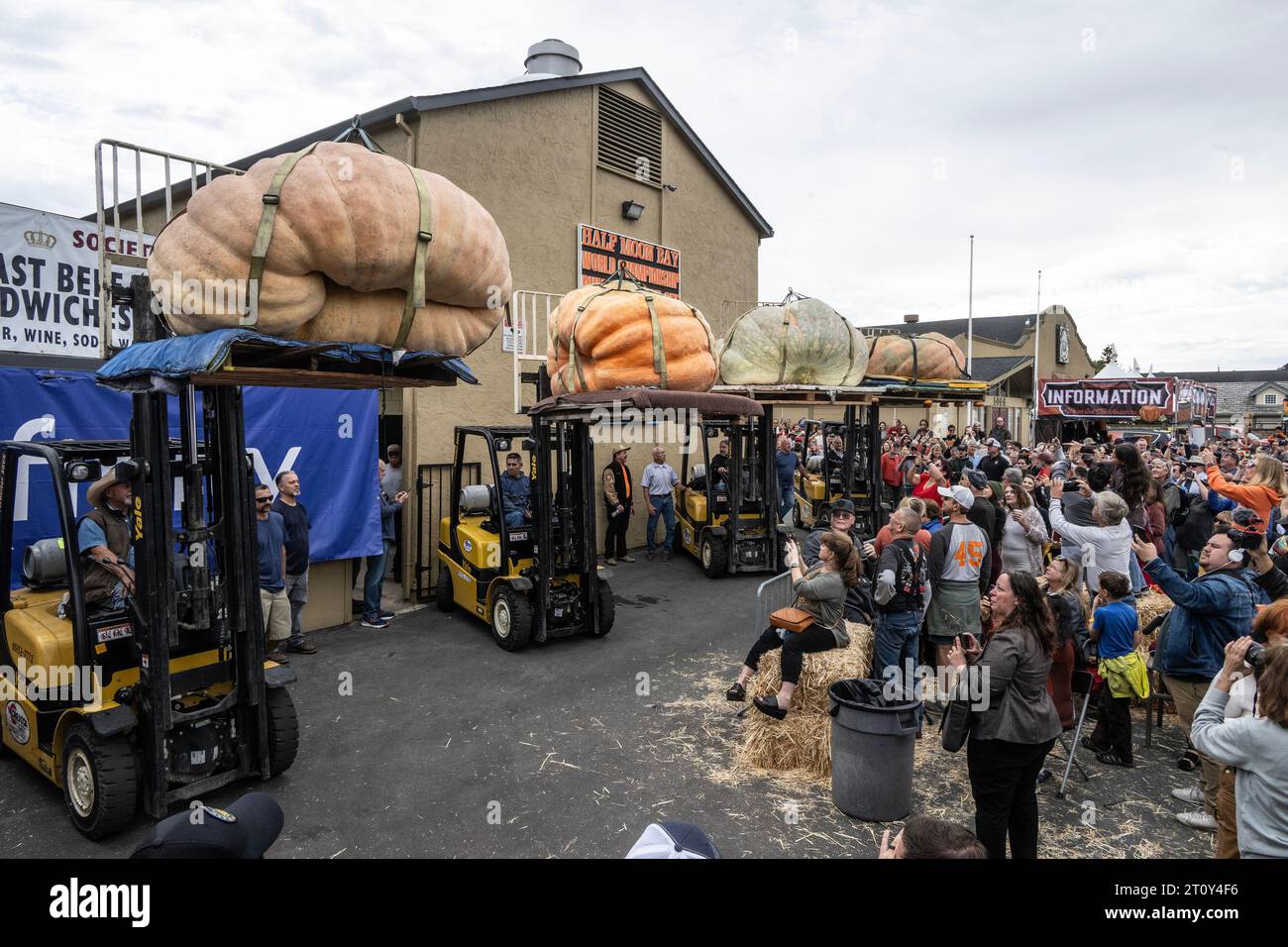 Half Moon Bay, Usa. Oktober 2023. Die letzten vier Kürbisse werden ausgestellt, bevor sie am Montag, den 9. Oktober 2023, beim Safeway World Championship Pumpkin Wiegh-off in Half Moon Bay, Kalifornien, gewogen werden. Ein Weltrekord von 2.749 Pfund Kürbis, der von Travis Gienger aus Minnesota aufgezogen wurde, gewann den Wettbewerb. Foto: Terry Schmitt/UPI Credit: UPI/Alamy Live News Stockfoto