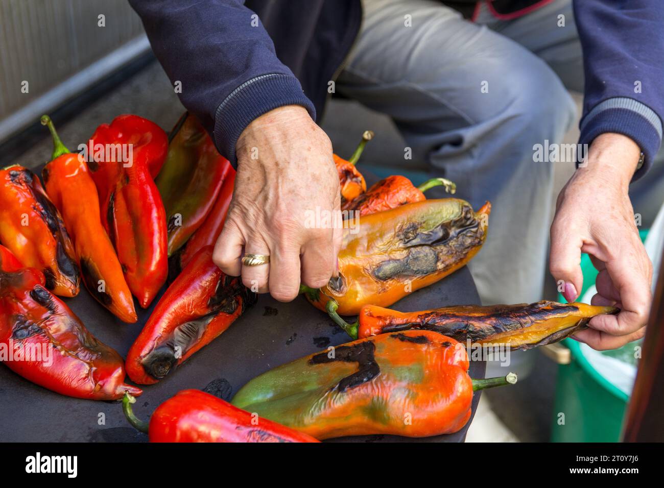 Das Rösten von Paprika auf dem Holzofen im Freien im Hof. Die Hände der Frau drehen die Paprika, um ein Brennen zu verhindern Stockfoto