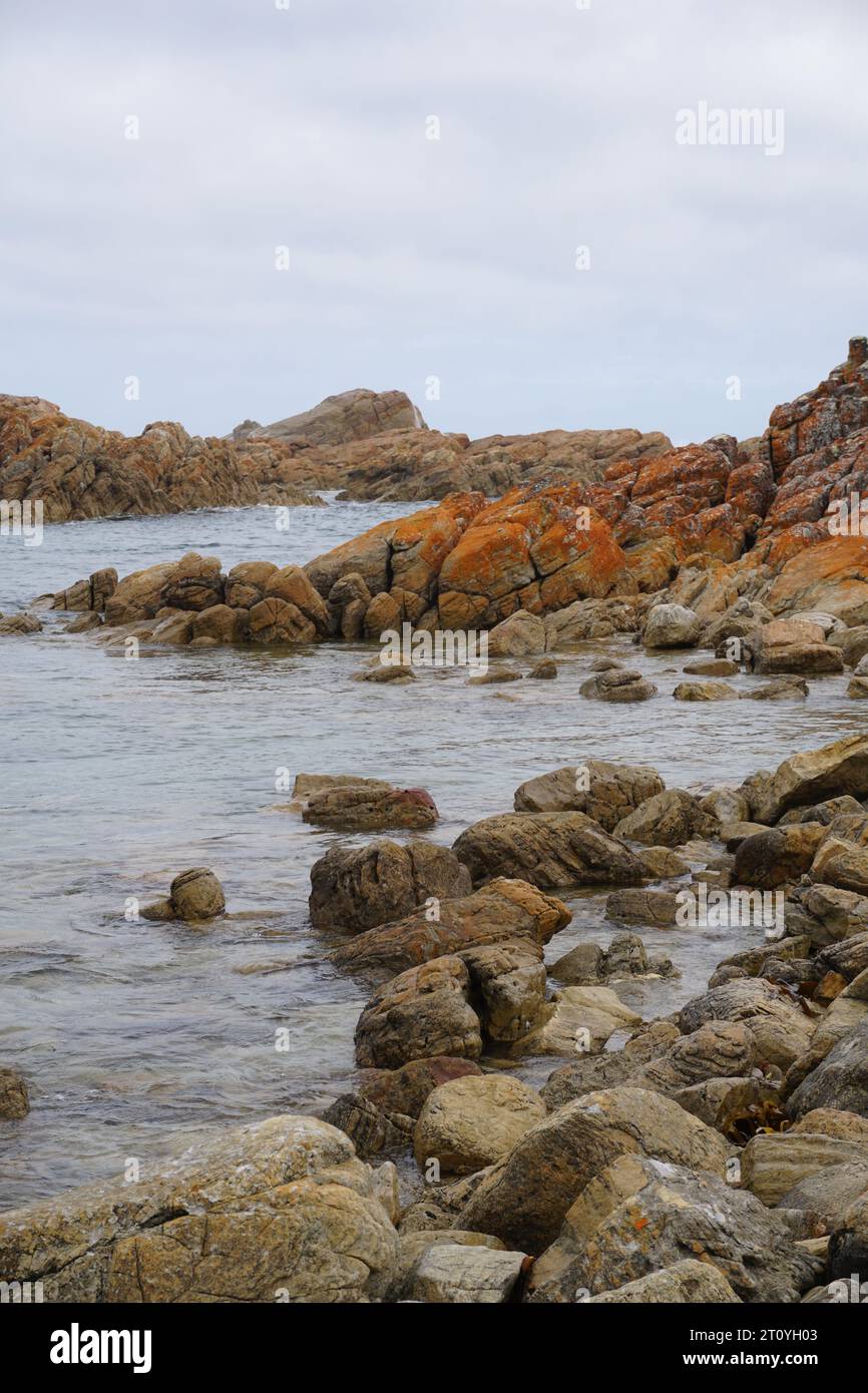 Dramatische rote Felsen an der zerklüfteten und rauen Küste entlang des Tarkine Drive, West Coast, Tasmanien, Australien Stockfoto