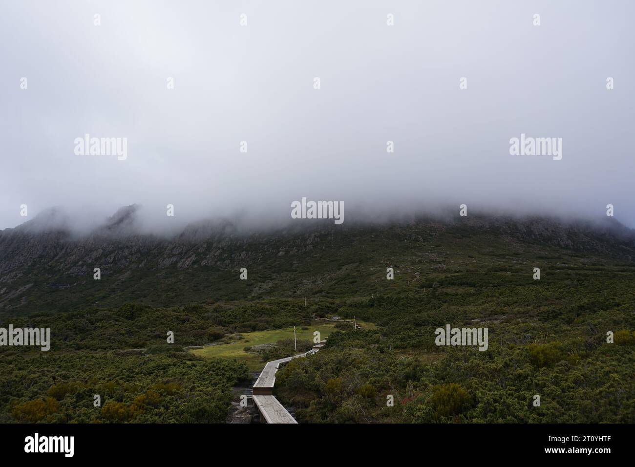 Der Wanderweg führt in einen wolkenbedeckten, nebelbewölkten, stimmungsvollen und dramatischen Cradle Mountain Summit, tasmania, australien Stockfoto