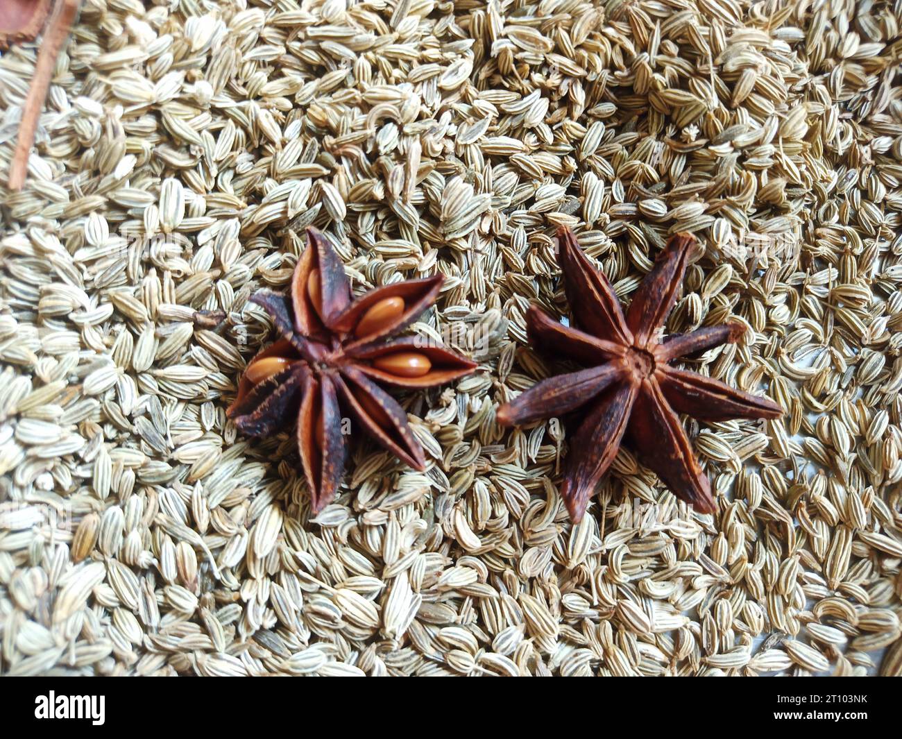 indische Gewürze, Kümmel, jira, gewürzmarkt, Gewürze indien, Gewürze, Gewürze, Gewürzmarkt, Sternanis, Zimt, Masala, indisches Masala, Essen, indisches Essen, scharf Stockfoto