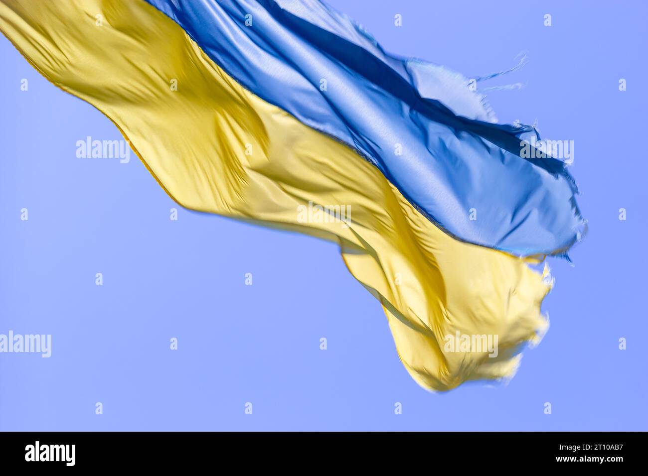 Ukrainische Flagge winkt bei Wind und Sonnenlicht. Flagge der Ukraine auf blauem Himmel Hintergrund. Nationales Symbol für Freiheit und Unabhängigkeit. Stockfoto