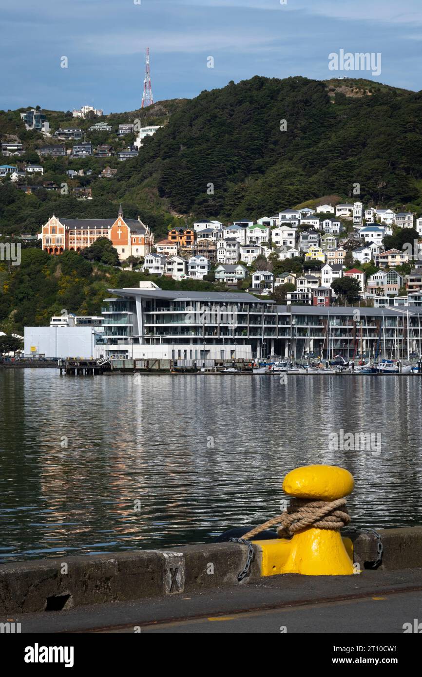 Häuser auf einem Hügel über Overseas Terminal, Mount Victoria, Wellington, Nordinsel, Neuseeland Stockfoto