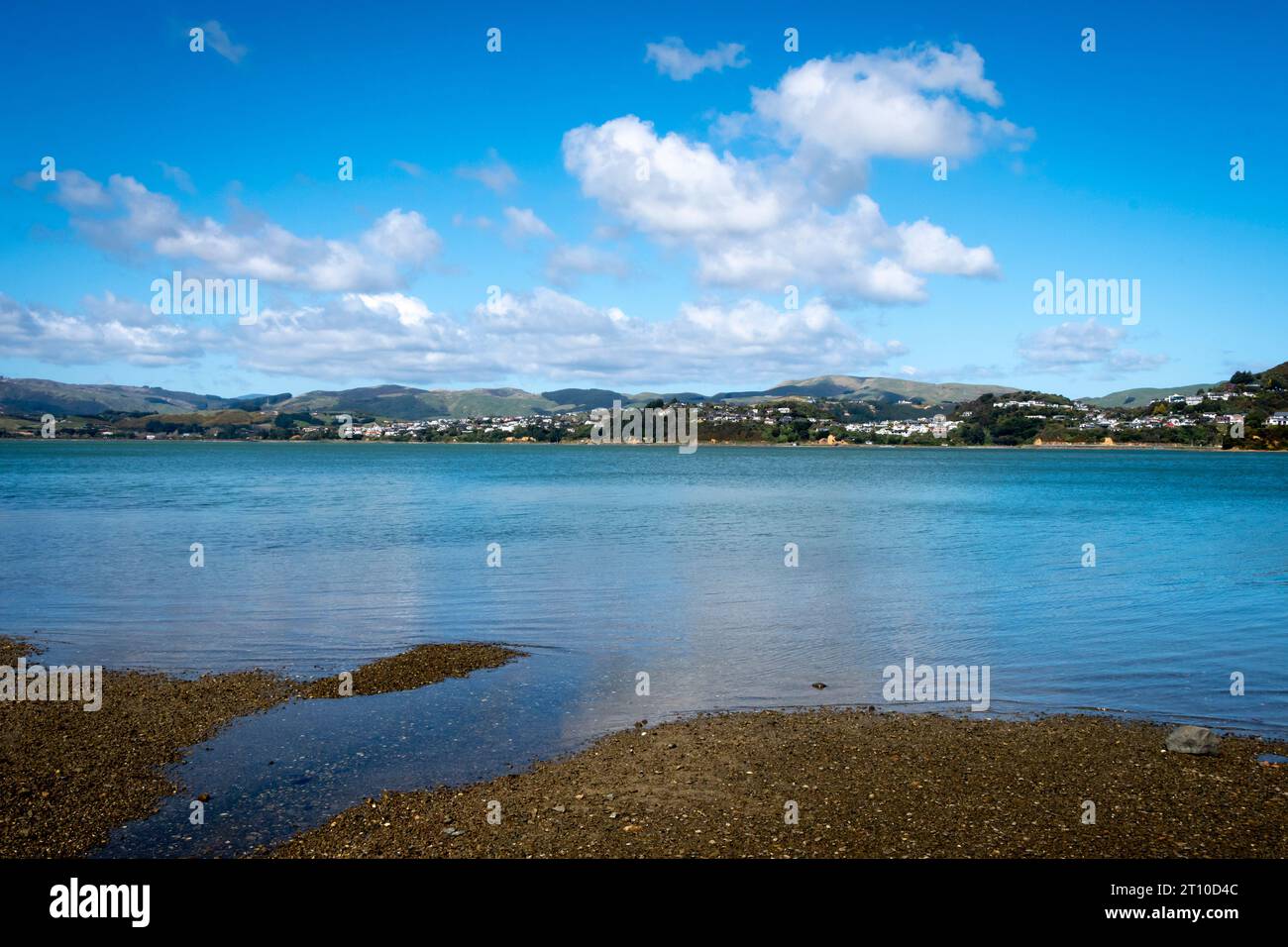 Pauatahanui Inlet, Porirua Harbour, Wellington, Nordinsel, Neuseeland Stockfoto