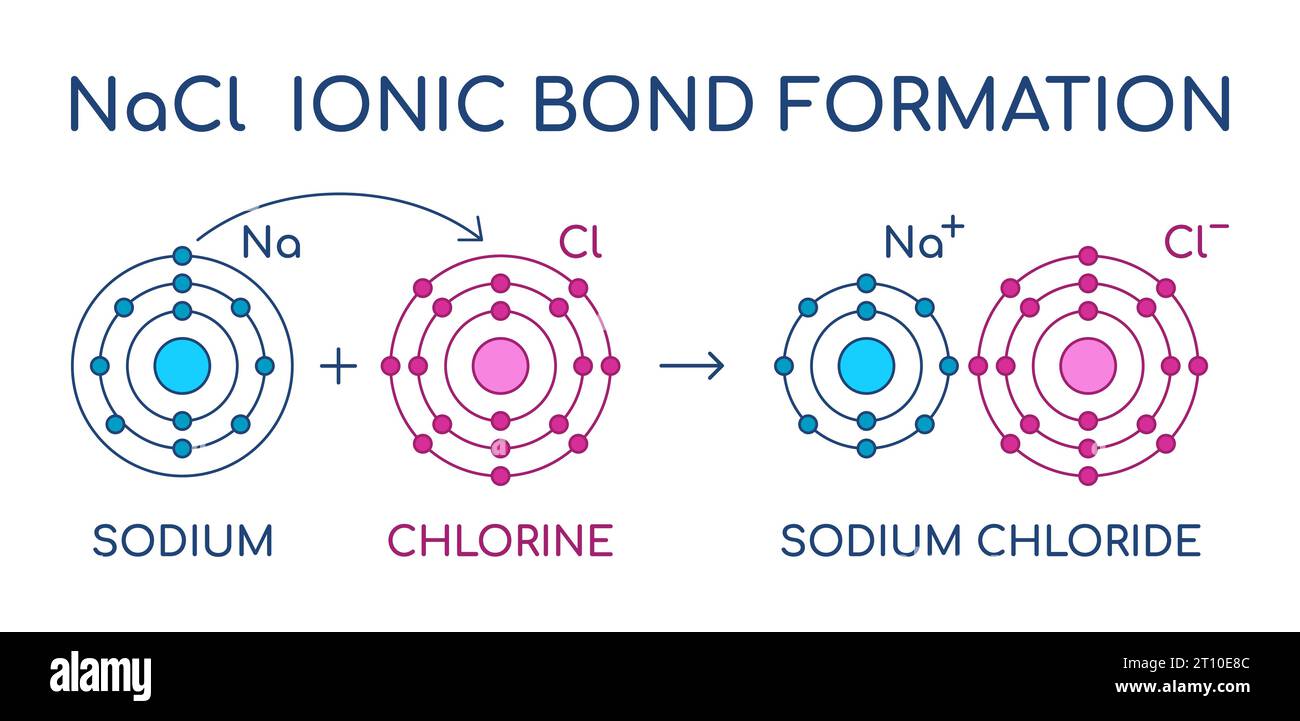 Natriumchlorid-Ionenbindungsbildung. NaCl-Struktur. Chemische Reaktion des Natrium- und Chloratoms. Elektronentransfer. Elektrostatische Anziehungskraft. Stock Vektor