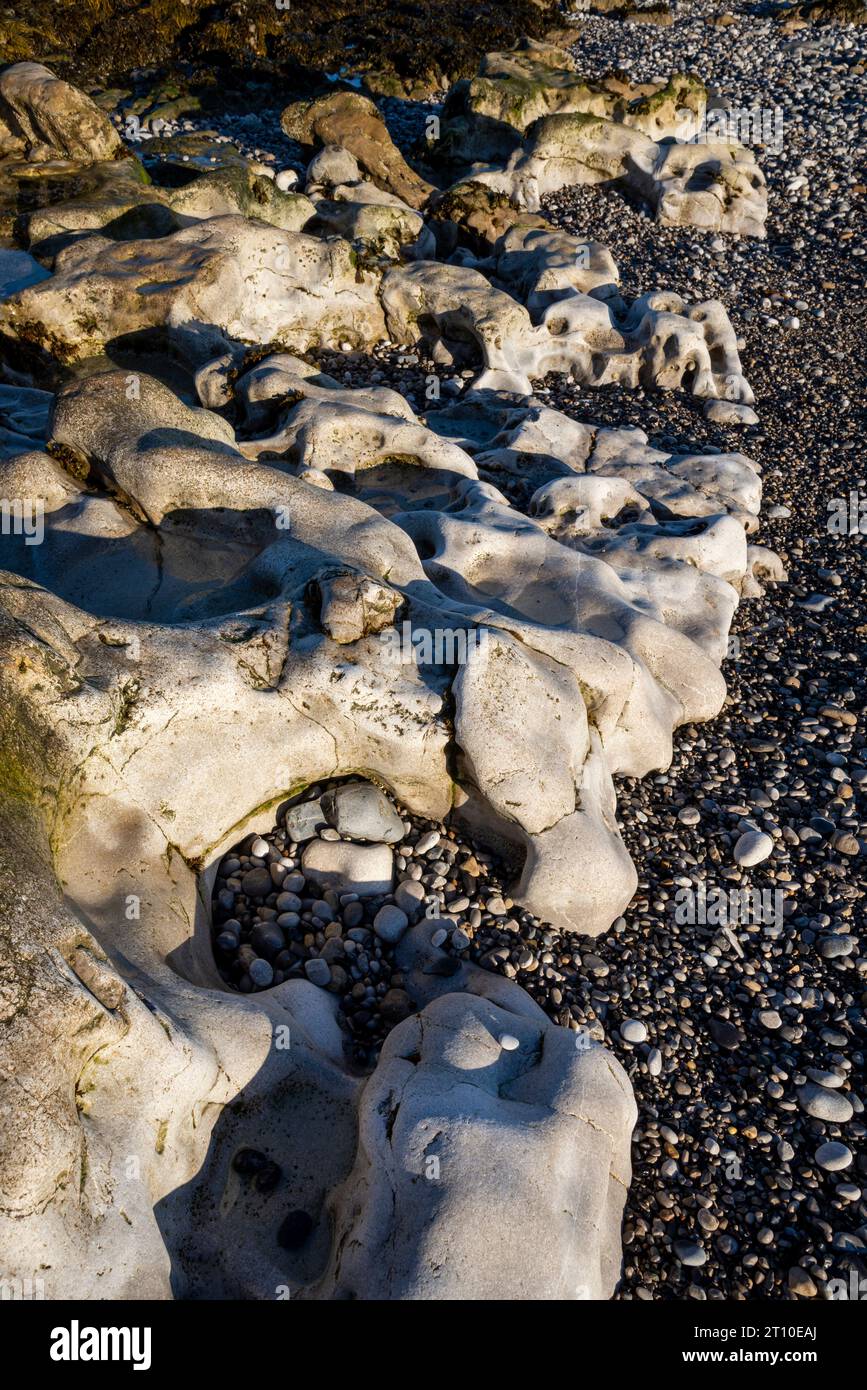 Verwitterte Felsen am Strand von Penmon Point, Anglesey, Nordwales. Stockfoto