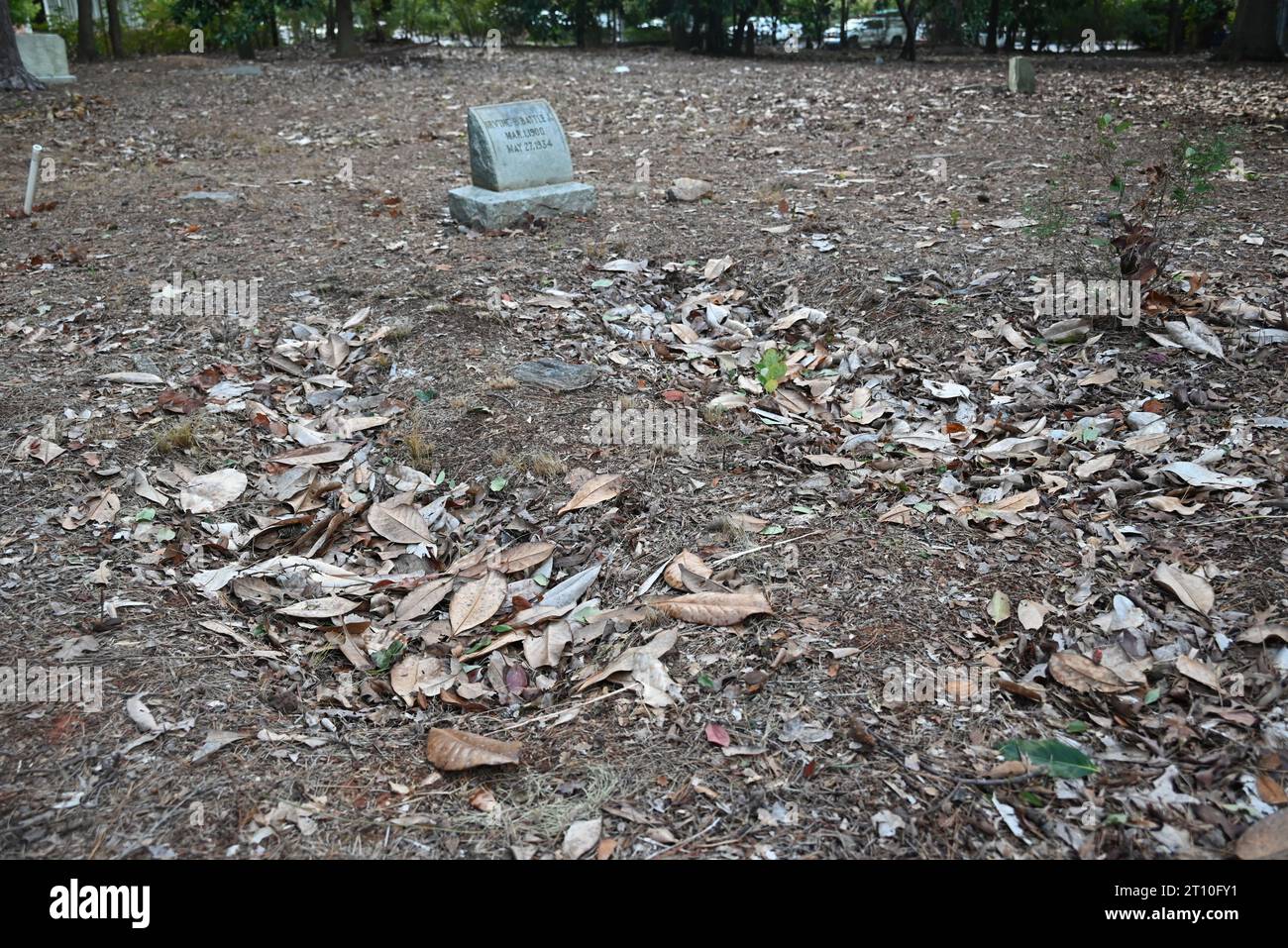 Versunkene, mit Blättern gefüllte Böden weisen auf ein paar unmarkierte Gräber auf dem einst verlassenen afroamerikanischen Oberlin Cemetery in Raleigh, North Carolina hin Stockfoto