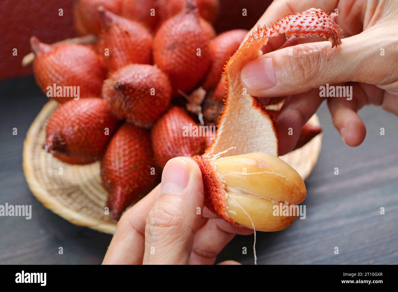 Nahaufnahme des Handschälens der Salakfrucht durch Eindrücken der Spitze und Abziehen Stockfoto