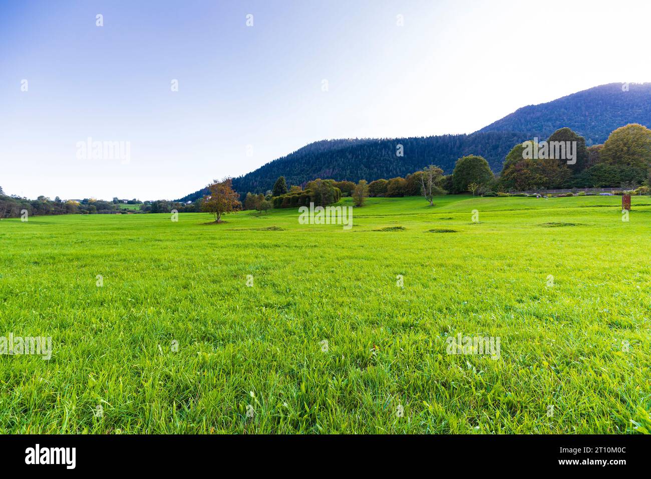 Italien Trentino Pieve Tesino - Tesino Arboretum Stockfoto