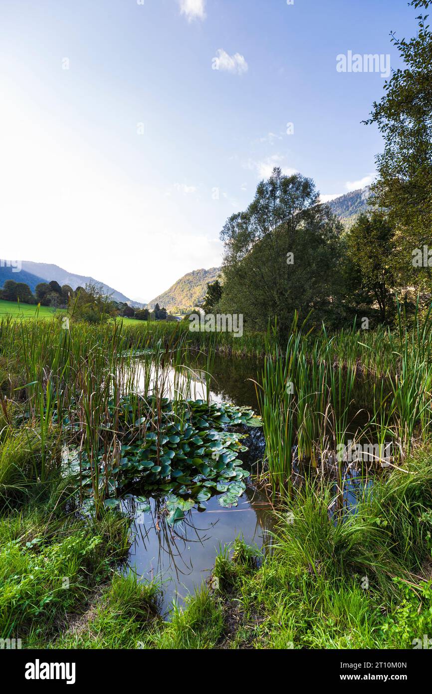 Italien Trentino Pieve Tesino - Tesino Arboretum - kleiner See Stockfoto