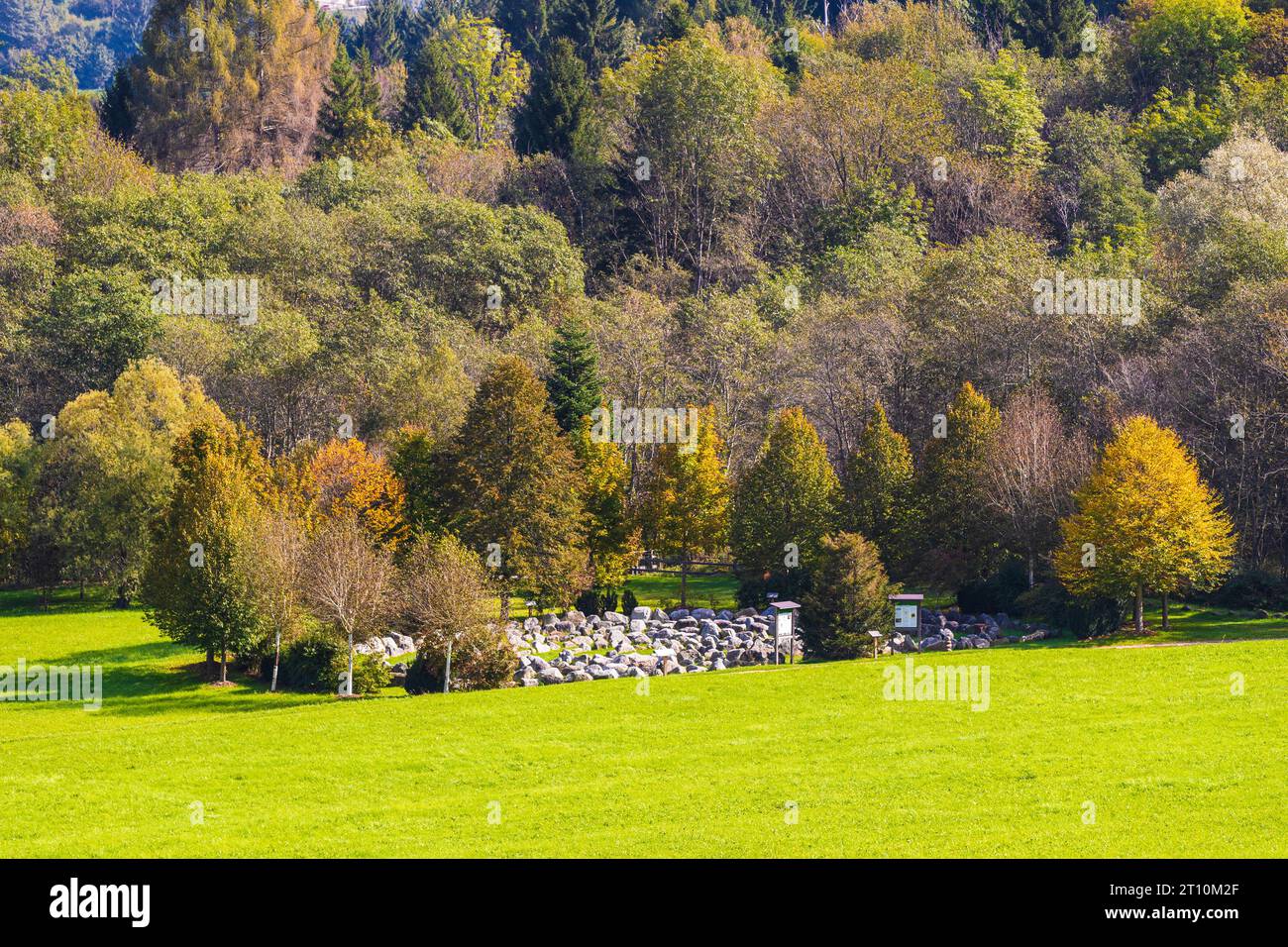 Italien Trentino Pieve Tesino - Tesino Arboretum - Labyrinth Stockfoto