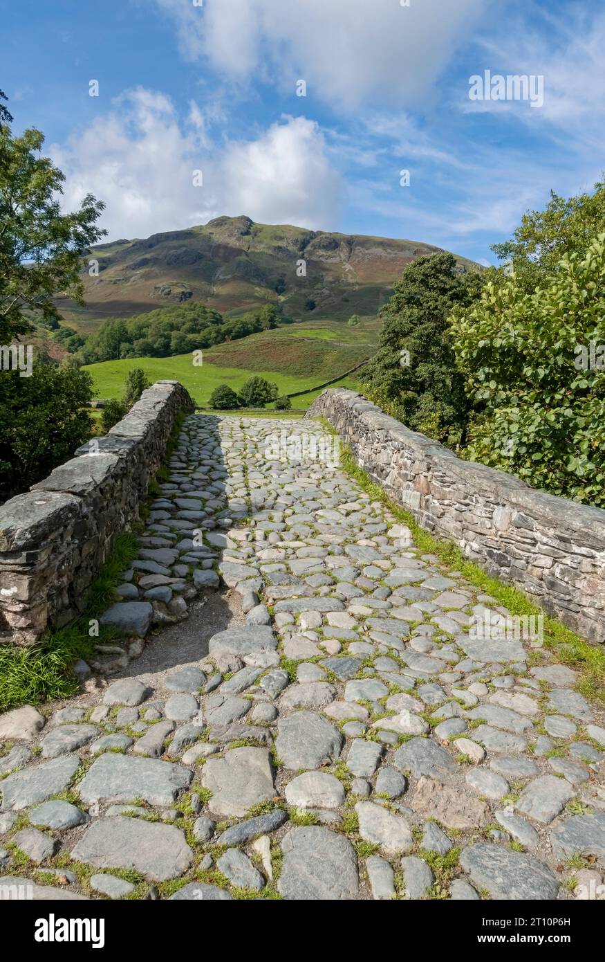 Neue Brücke über den Fluss Derwent auf dem Cumbria Way im Sommer Rosthwaite Borrowdale Lake District Nationalpark Cumbria England Großbritannien Großbritannien Stockfoto