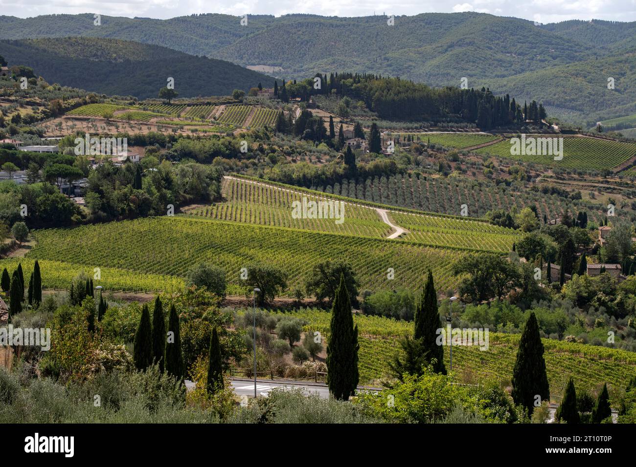 Toskana Weinberge Italien September 2023 der toskanische Wein (italienische Toscana) ist ein italienischer Wein aus der Toskana. Gelegen in Mittelitalien an der Tyrrh Stockfoto