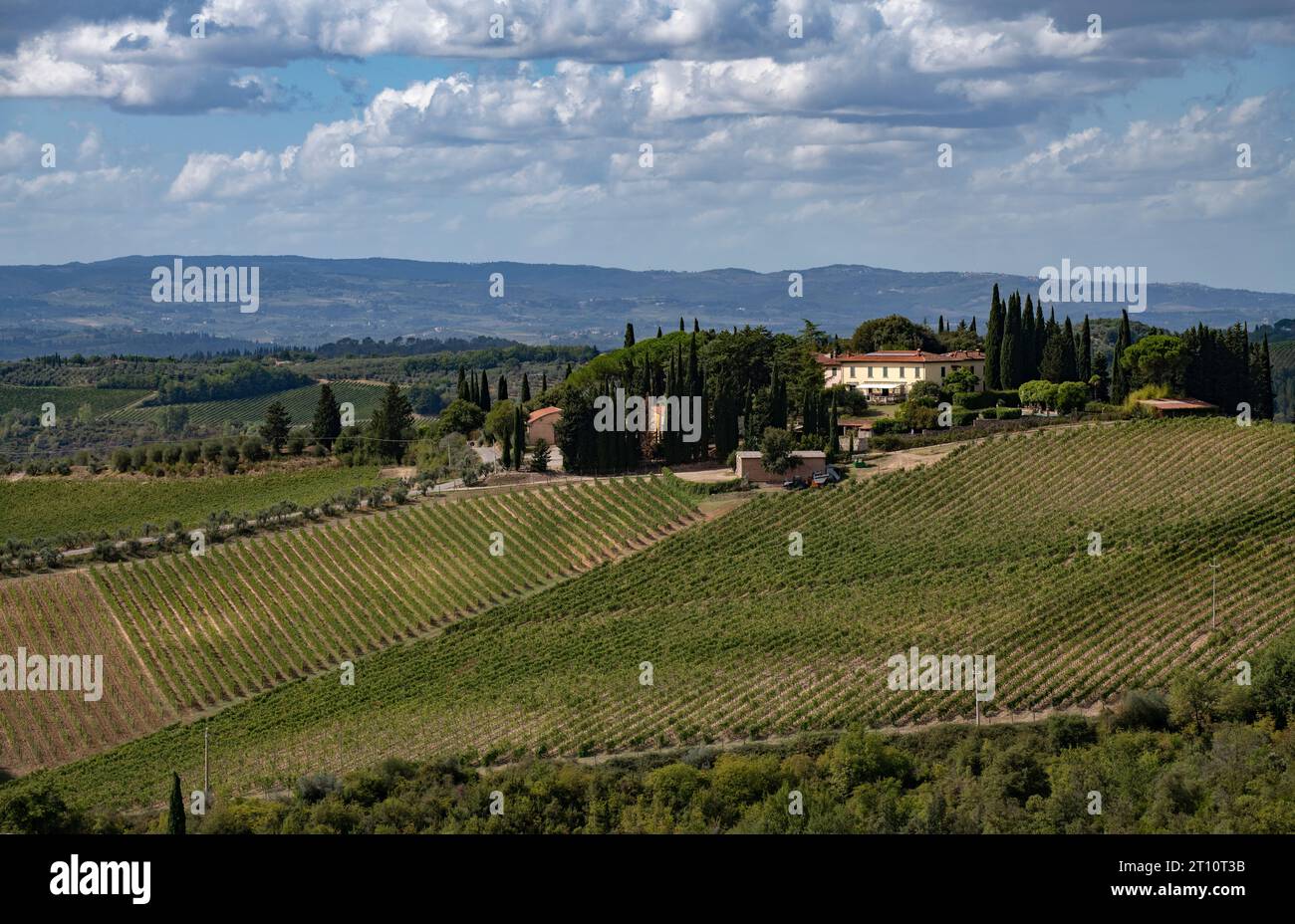 Toskana Weinberge Italien September 2023 der toskanische Wein (italienische Toscana) ist ein italienischer Wein aus der Toskana. Gelegen in Mittelitalien an der Tyrrh Stockfoto