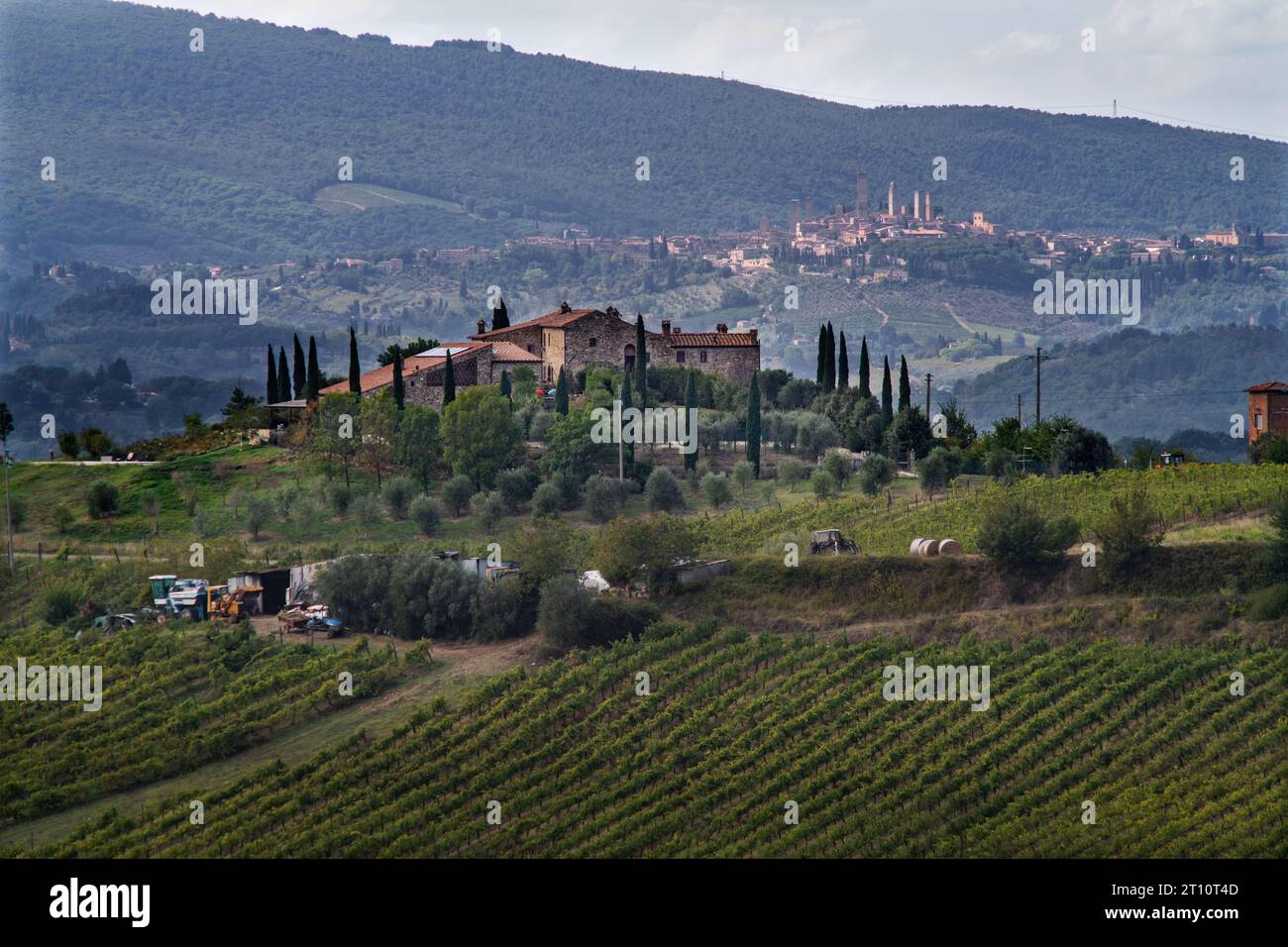 Toskana Weinberge Italien September 2023 der toskanische Wein (italienische Toscana) ist ein italienischer Wein aus der Toskana. Gelegen in Mittelitalien an der Tyrrh Stockfoto