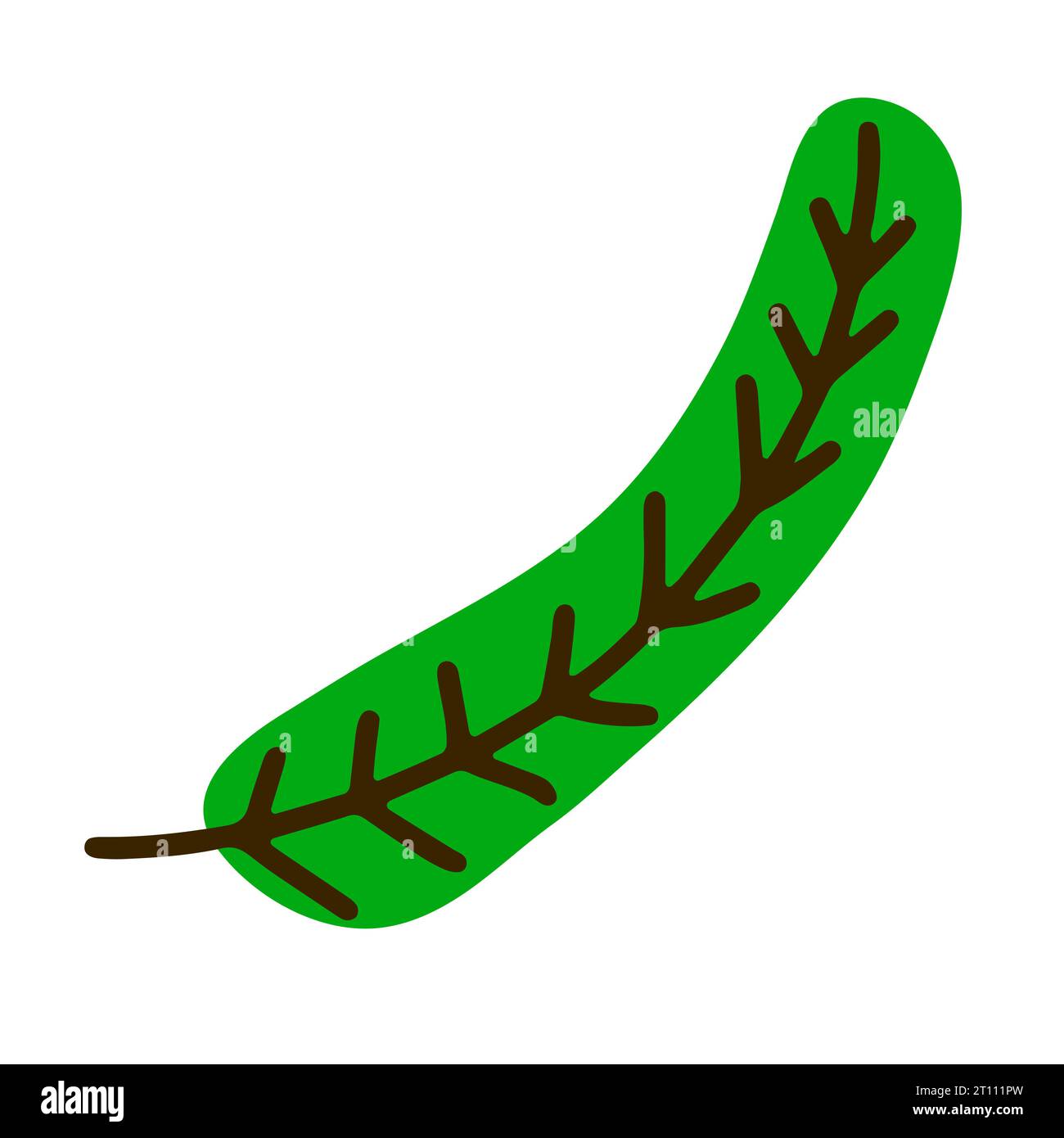 Weihnachtsbaumzweig auf weißem Hintergrund. Niedlicher dekorativer grüner Kiefernzweig im skandinavischen Stil. Festliches Dekorationselement für Weihnachten, Neujahr Stock Vektor