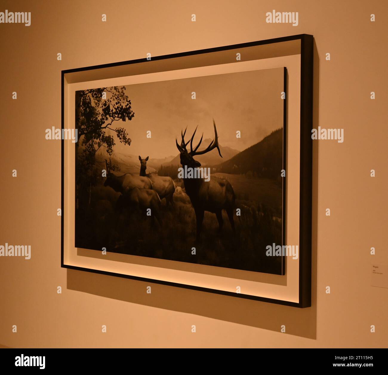 Hiroshi sugimoto zeitmaschine Fotos und Bildmaterial in hoher