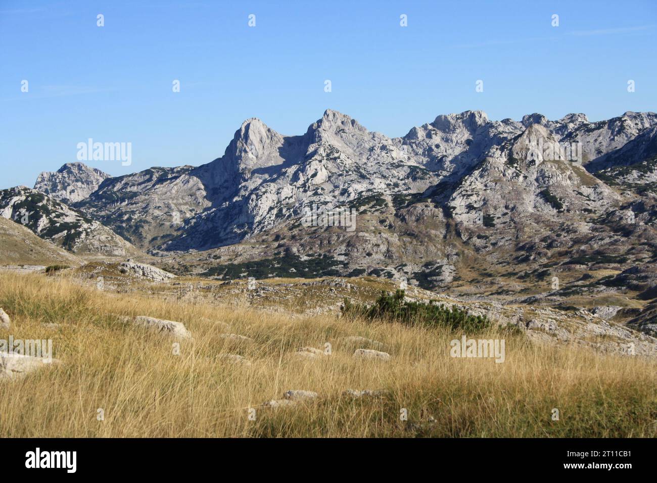 Wandertag auf dem Berg Međuprenje, Bosnien und Herzegowina Stockfoto