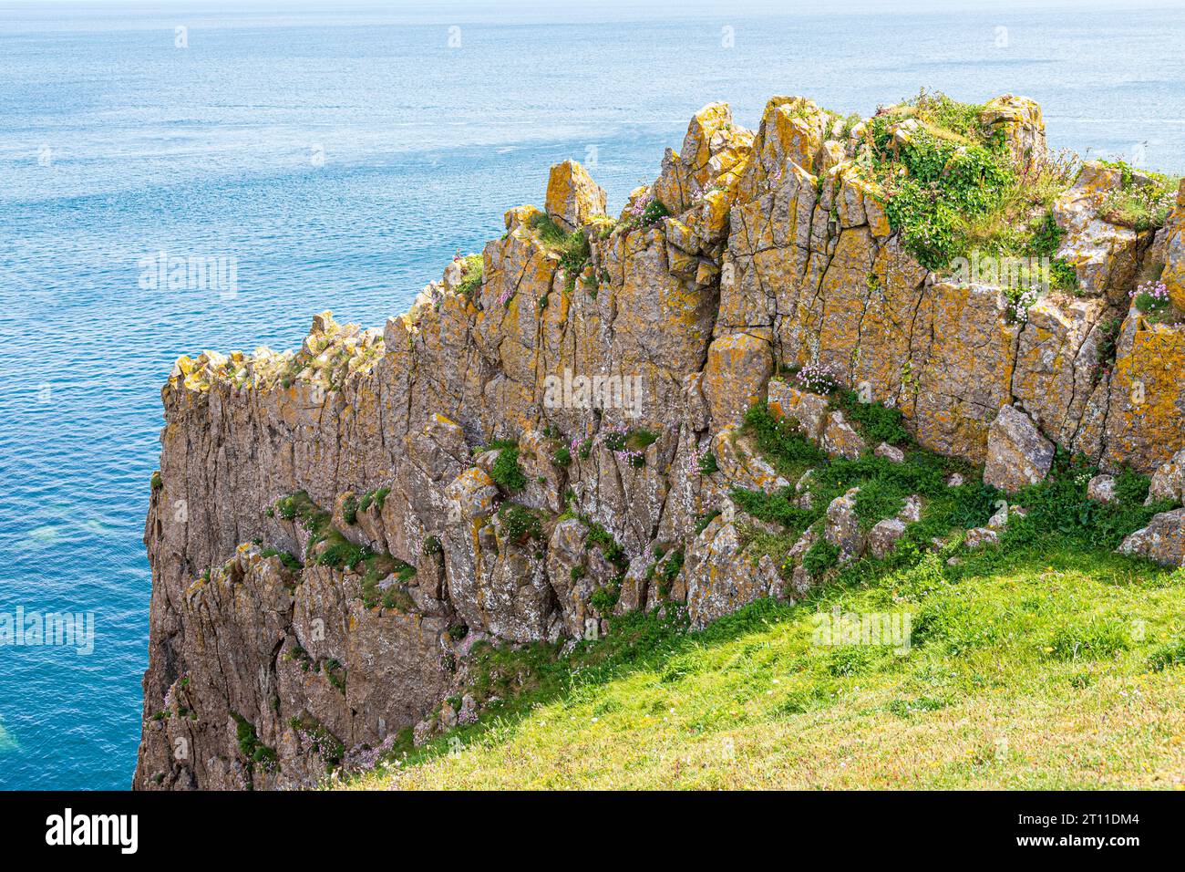 Ein Felsvorsprung in Skrinkle Haven, Lydstep im Pembrokeshire Coast National Park, West Wales, Großbritannien Stockfoto