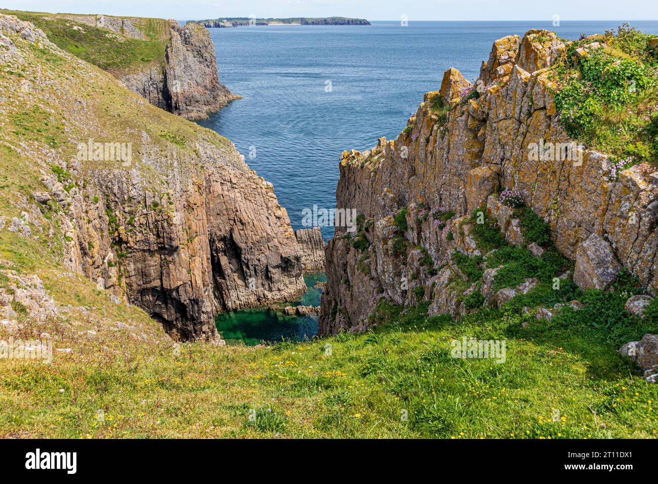 Ein Blick auf die Klippen in Richtung Lydstep Point vom Skrinkle Haven, Lydstep im Pembrokeshire Coast National Park, West Wales, Großbritannien Stockfoto