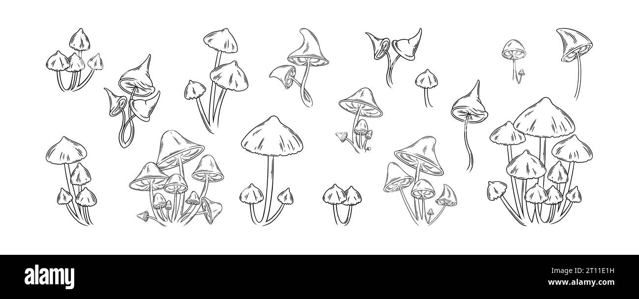 Waldpilzset. Psychedelische und essbare Pilze für naturästhetische Designs. Vektorillustration isoliert in weißem Hintergrund Stock Vektor