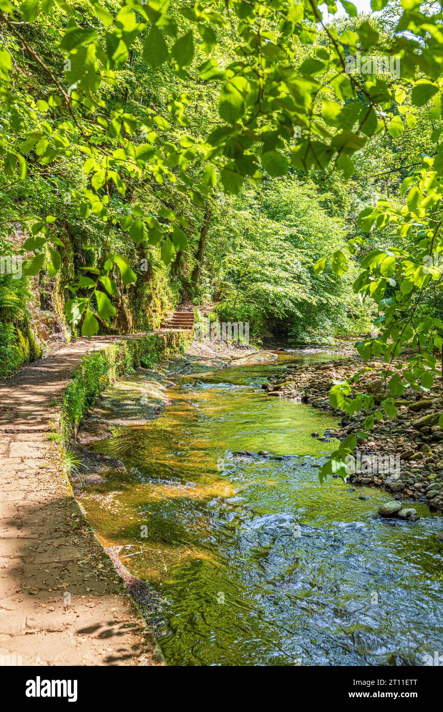 Ein erhöhter Fußweg auf einem öffentlichen Fußweg am Fluss Gelt in der Nähe des Dorfes Hayton, Cumbria, England Großbritannien Stockfoto