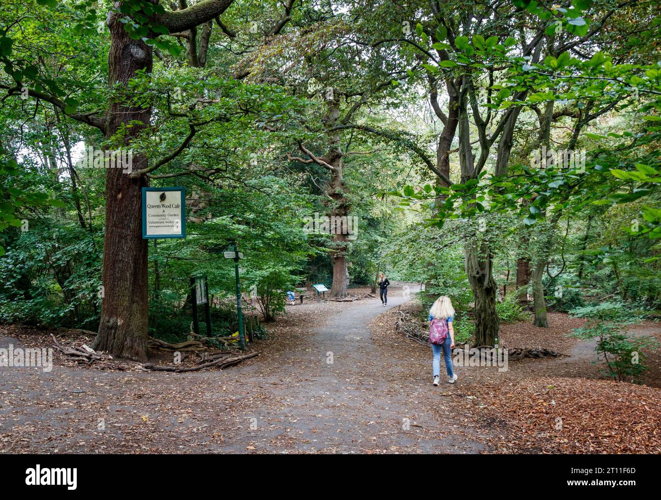 Menschen, die auf einem Pfad in Queen's Wood laufen, einem alten Waldgebiet im Norden Londons, Großbritannien Stockfoto