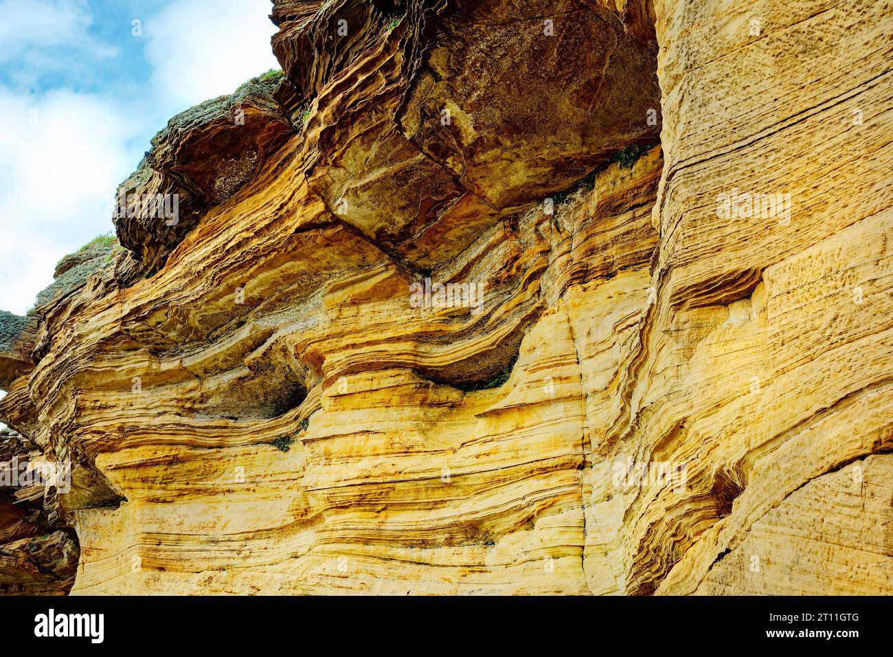 Hopeman Moray Coast Schottland Farbdetails eines Teils einer Sandsteinklippe Stockfoto