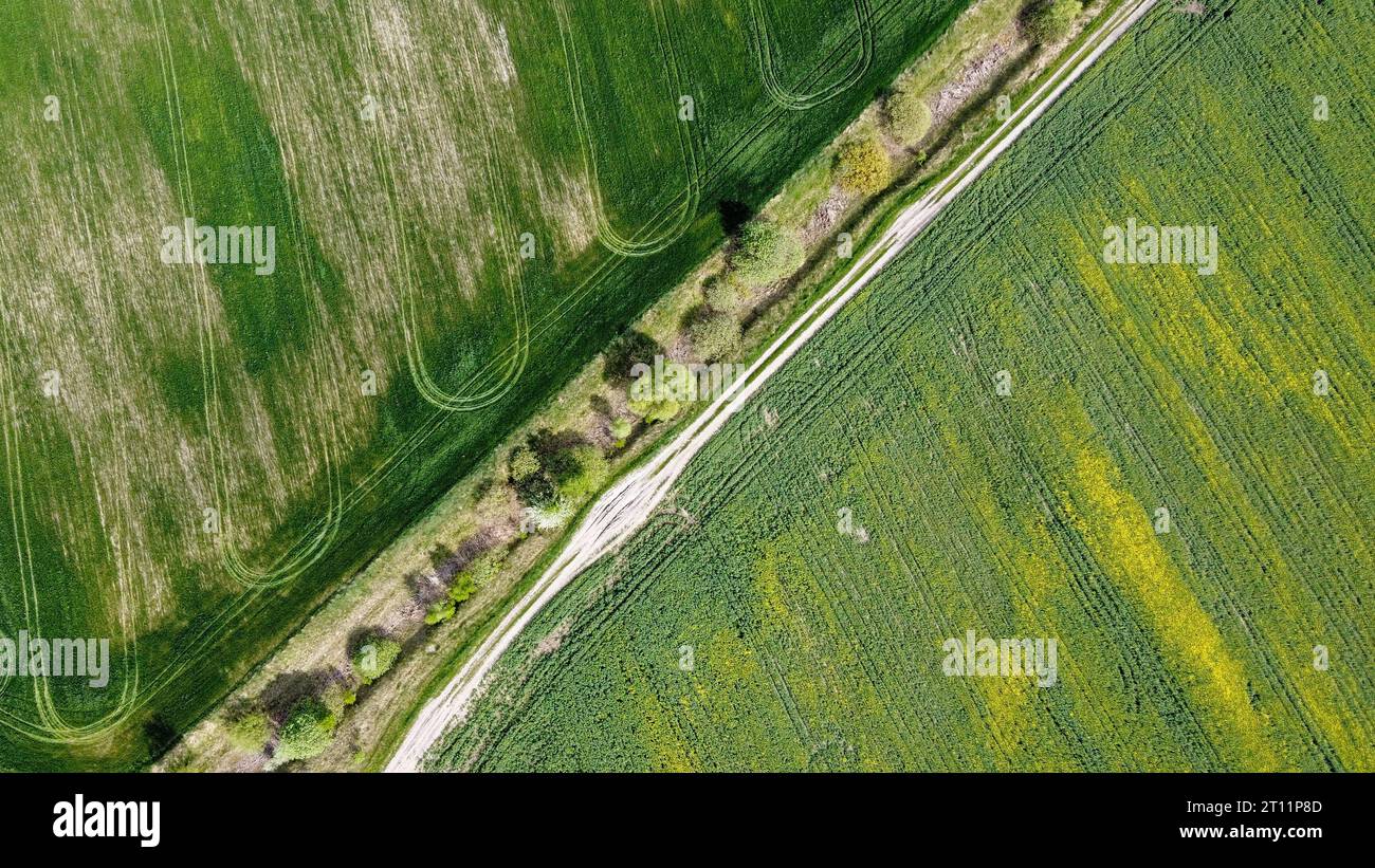 Unbefestigte Straße entlang des verlassenen Meliorationskanals. Landwirtschaftliche Flächen, Luftaufnahme. Stockfoto