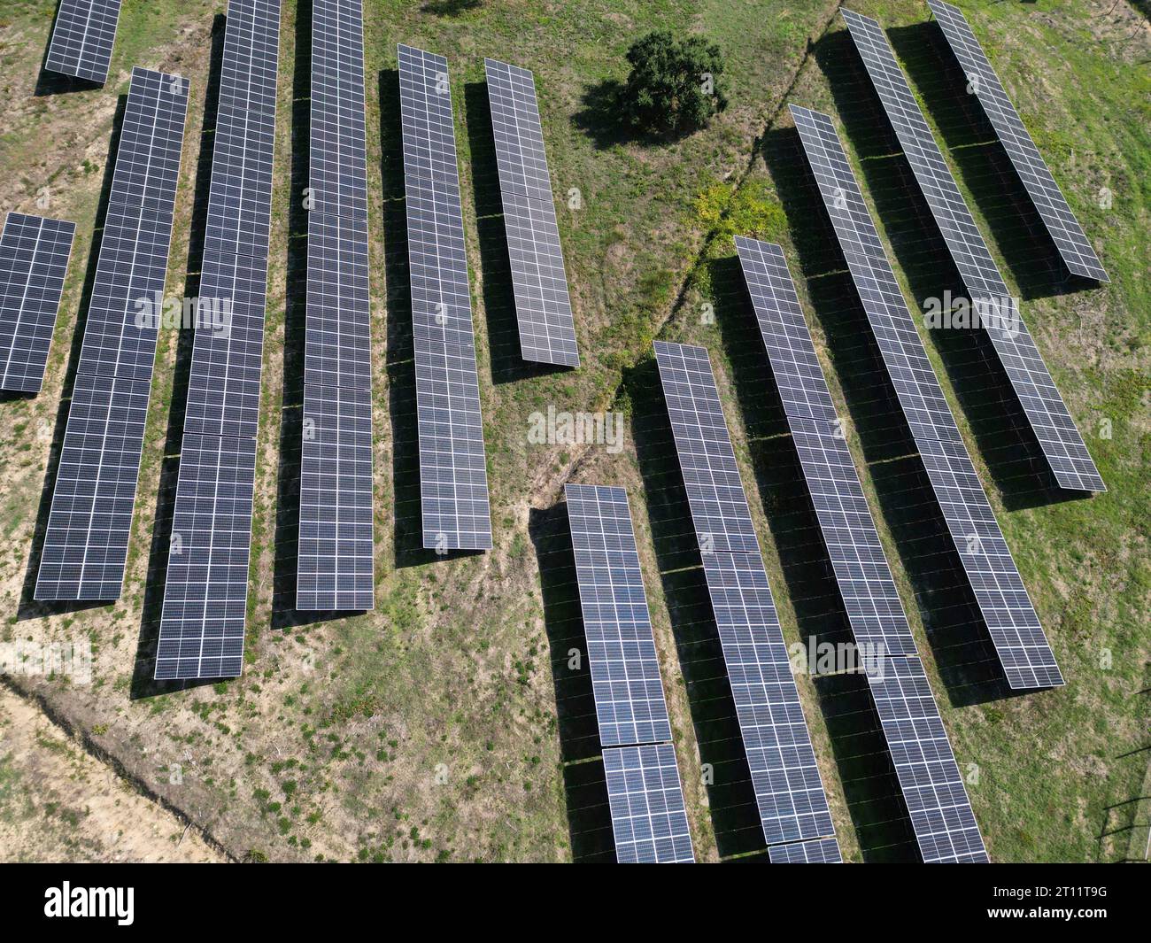 Sonnenkollektoren auf einem Photovoltaik-Kraftwerk Stockfoto