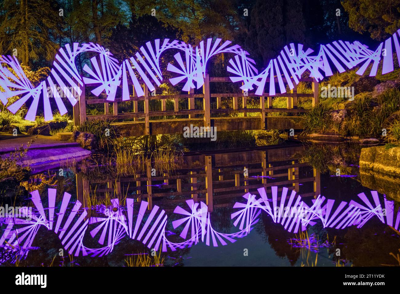 Lichtmalerei im Japanischen Garten, Preston, Lancashire bei Nacht Stockfoto