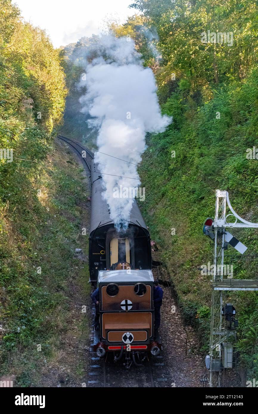 The Watercress Line Autumn Steam Gala Oktober 2023, mit Dampfzug LBSCR Terrier No. 72 „Fenchurch“ in der Nähe der Alresford Station, Hampshire, England, Großbritannien Stockfoto
