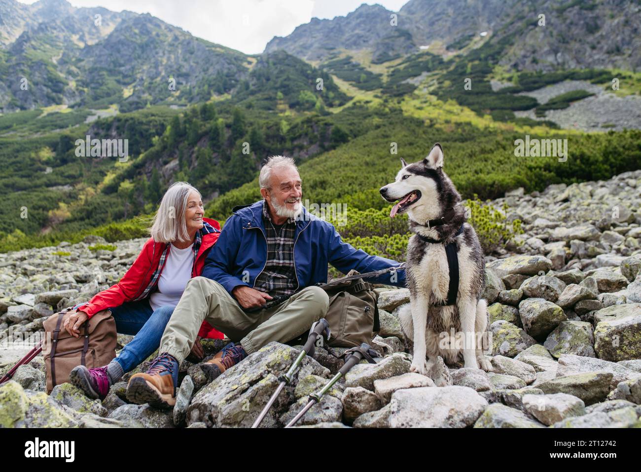 Aktives älteres Ehepaar mit Hundeschlittenwanderung in den Herbstbergen, auf Seniorenfreundlichem Wanderweg. Senioren ruhen sich aus und streicheln ihren sibirischen Husky-Hund. Stockfoto