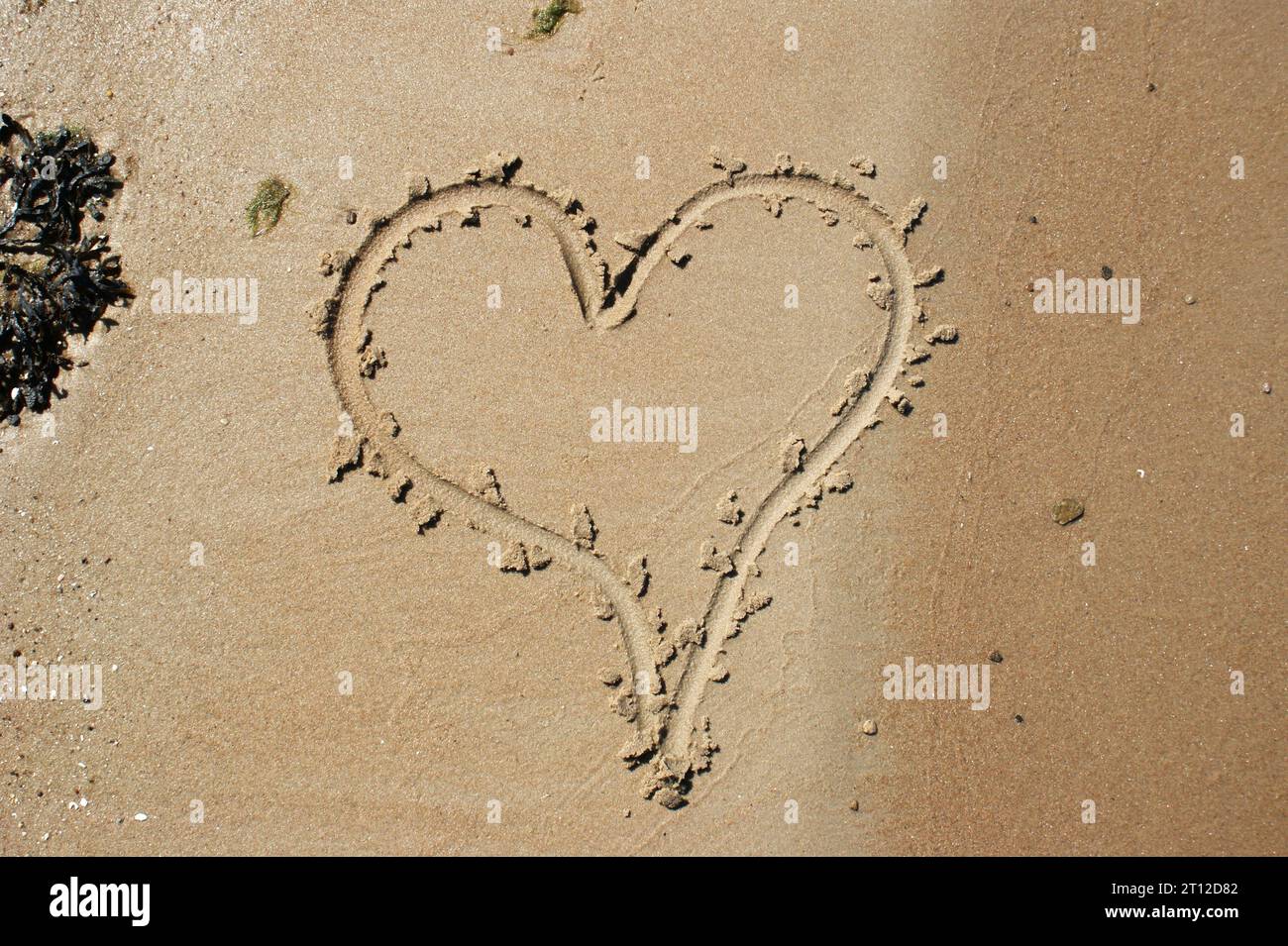 Ein Herz, gezeichnet auf nassem Sand an einem sonnigen Strand Stockfoto