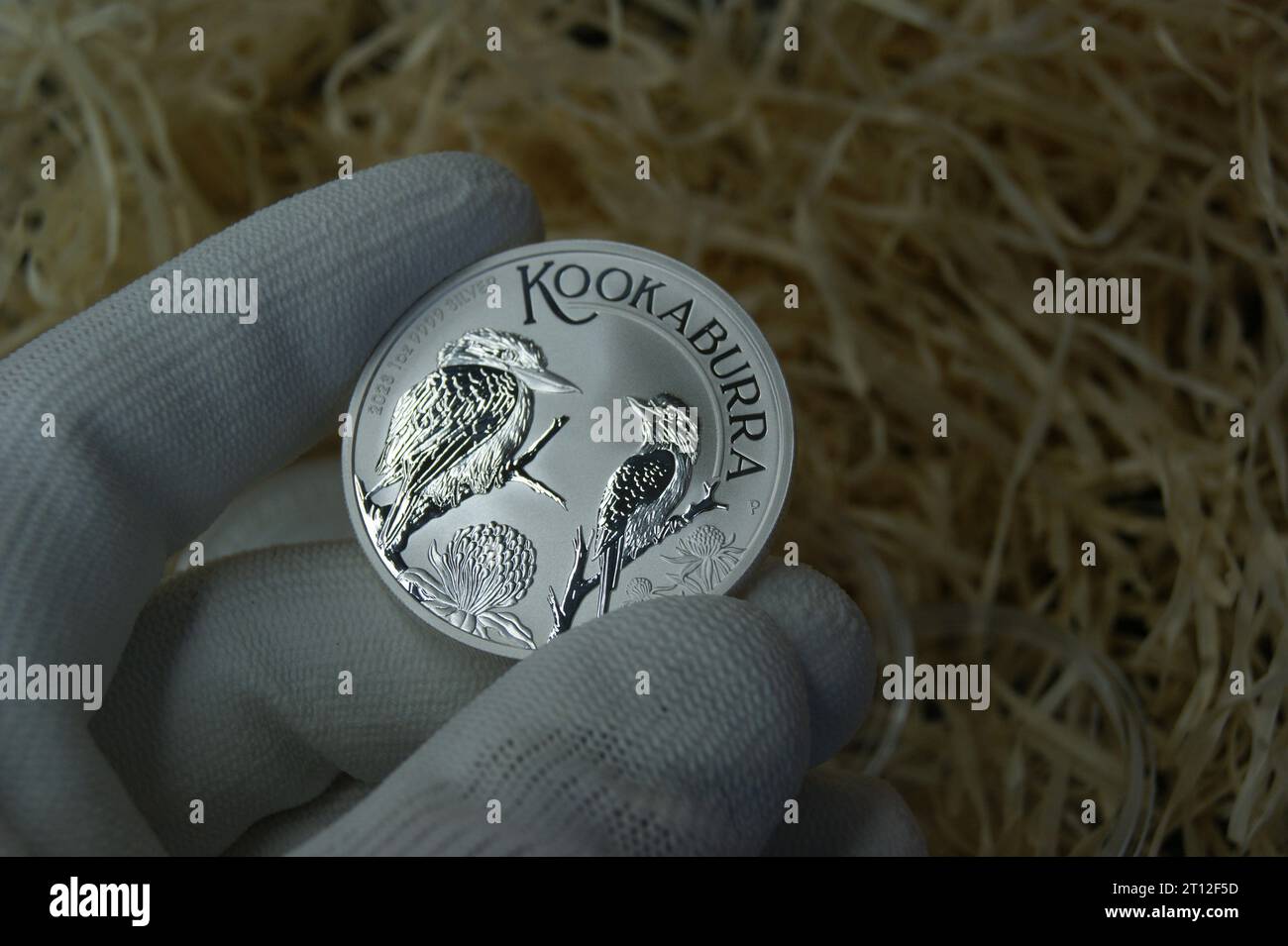 Australische reine Silbermünze Kookaburra 2023. Silbermünze in der Hand des Gutachters. Stockfoto