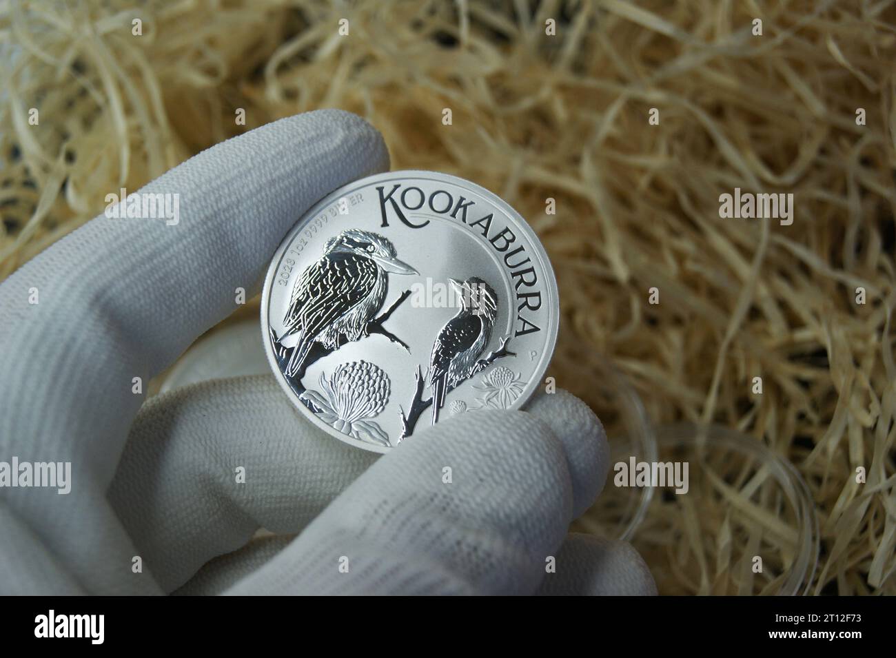 Australische reine Silbermünze Kookaburra 2023. Eine seltene Silbermünze in der Hand eines Numismatikers. Stockfoto
