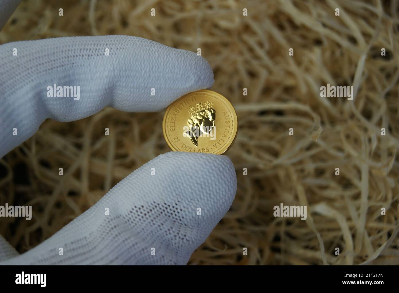 Anlagemünze in der Hand eines Numismatikers. Reine Goldmünze mit einem Rattenbild. Stockfoto