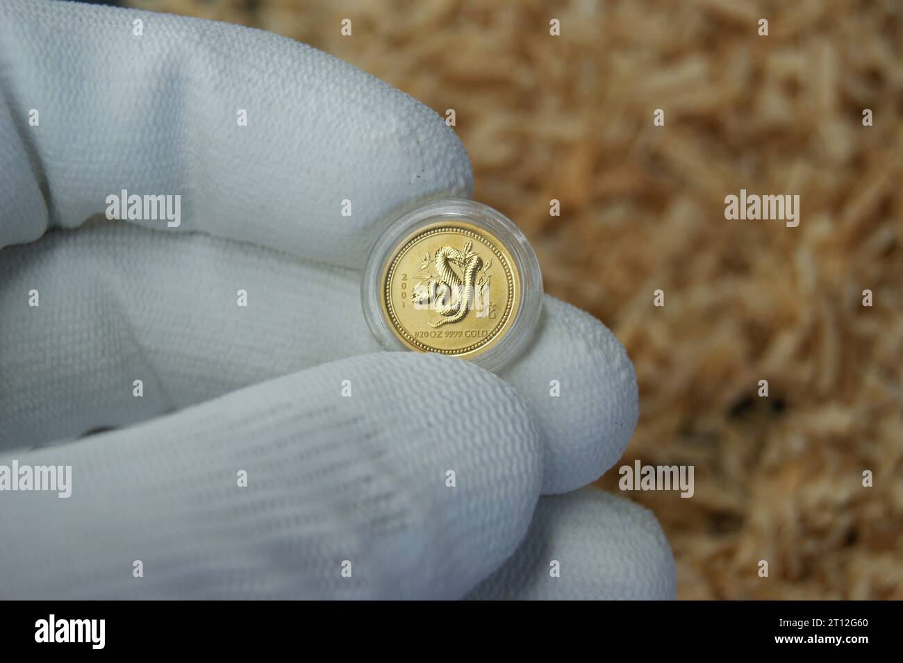 Australische 5-Dollar-Goldmünze mit dem Bild einer Schlange. Eine reine Goldmünze. Stockfoto