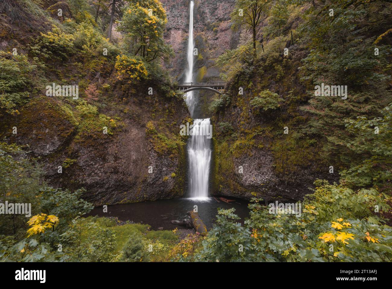 Beginn der Herbstsaison am Multnomah Falls Wasserfall, Columbia River Gorge, Oregon Stockfoto